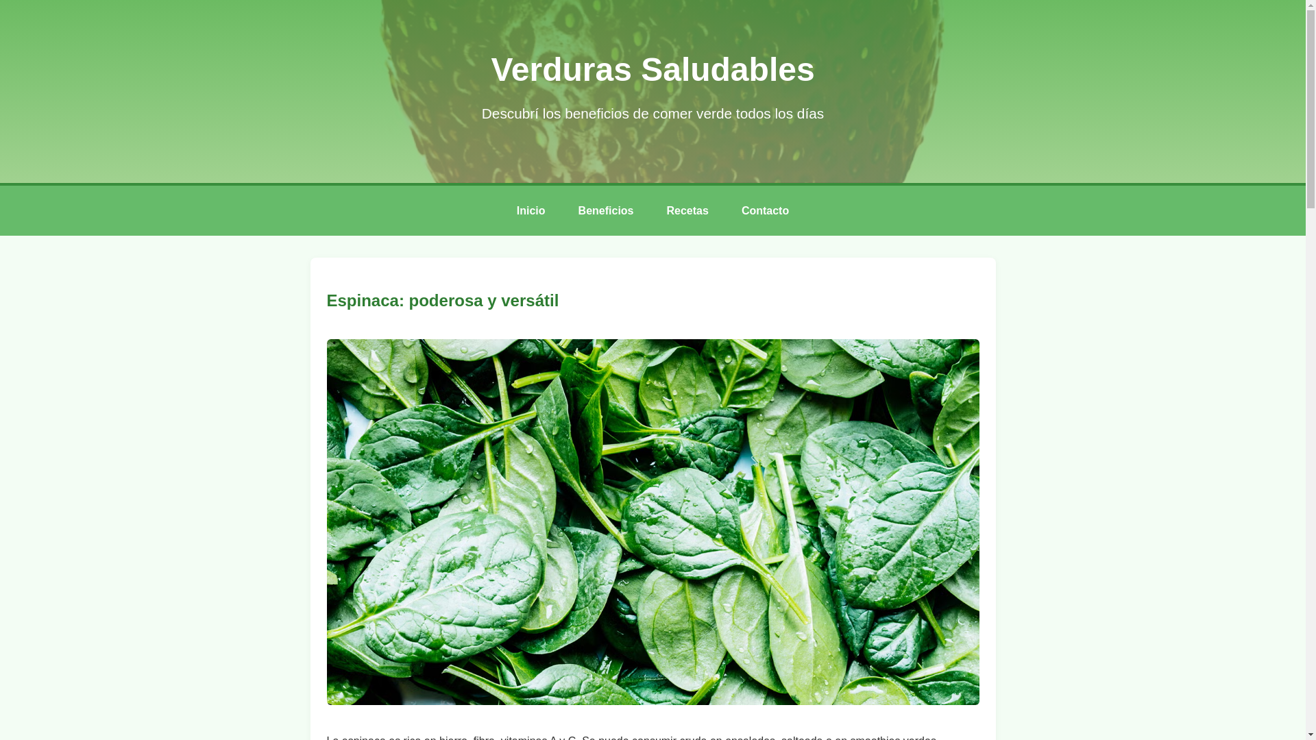 website screenshot of https://verdurassaludables.sbs/