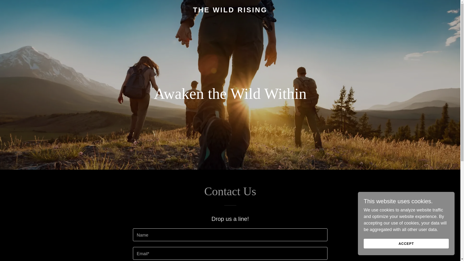 website screenshot of https://wildmenrising.com/
