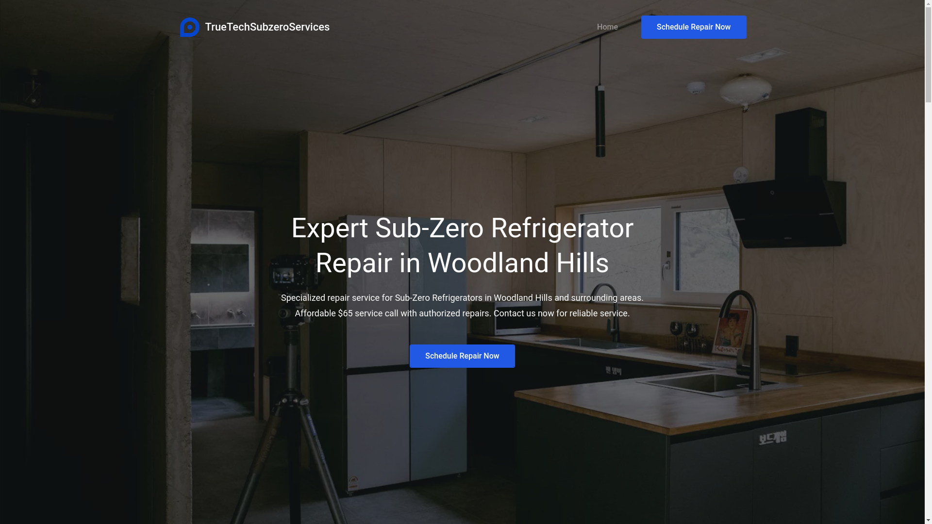 website screenshot of https://truetechsubzeroservices.com/