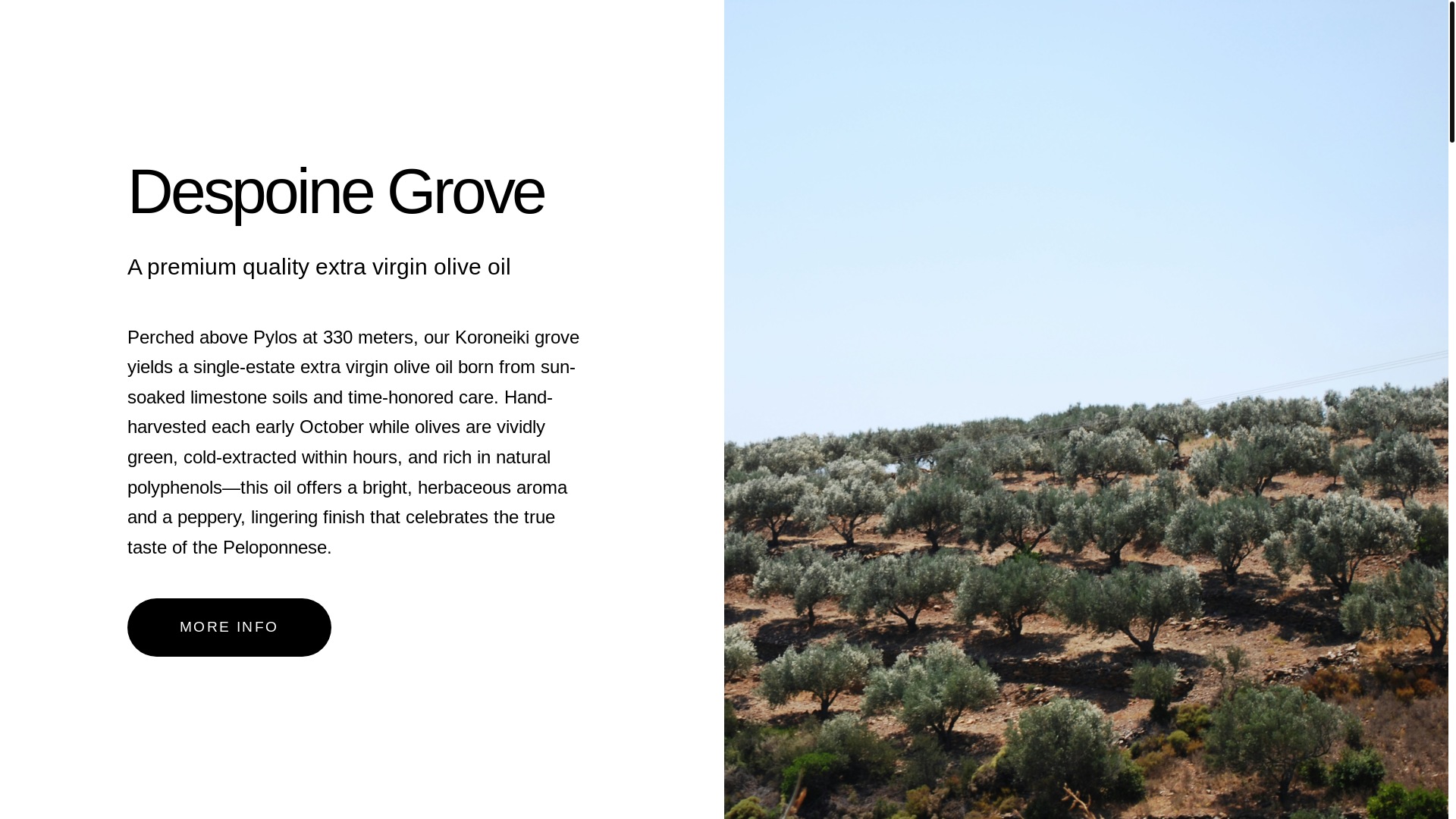 website screenshot of https://despoine.pages.dev/