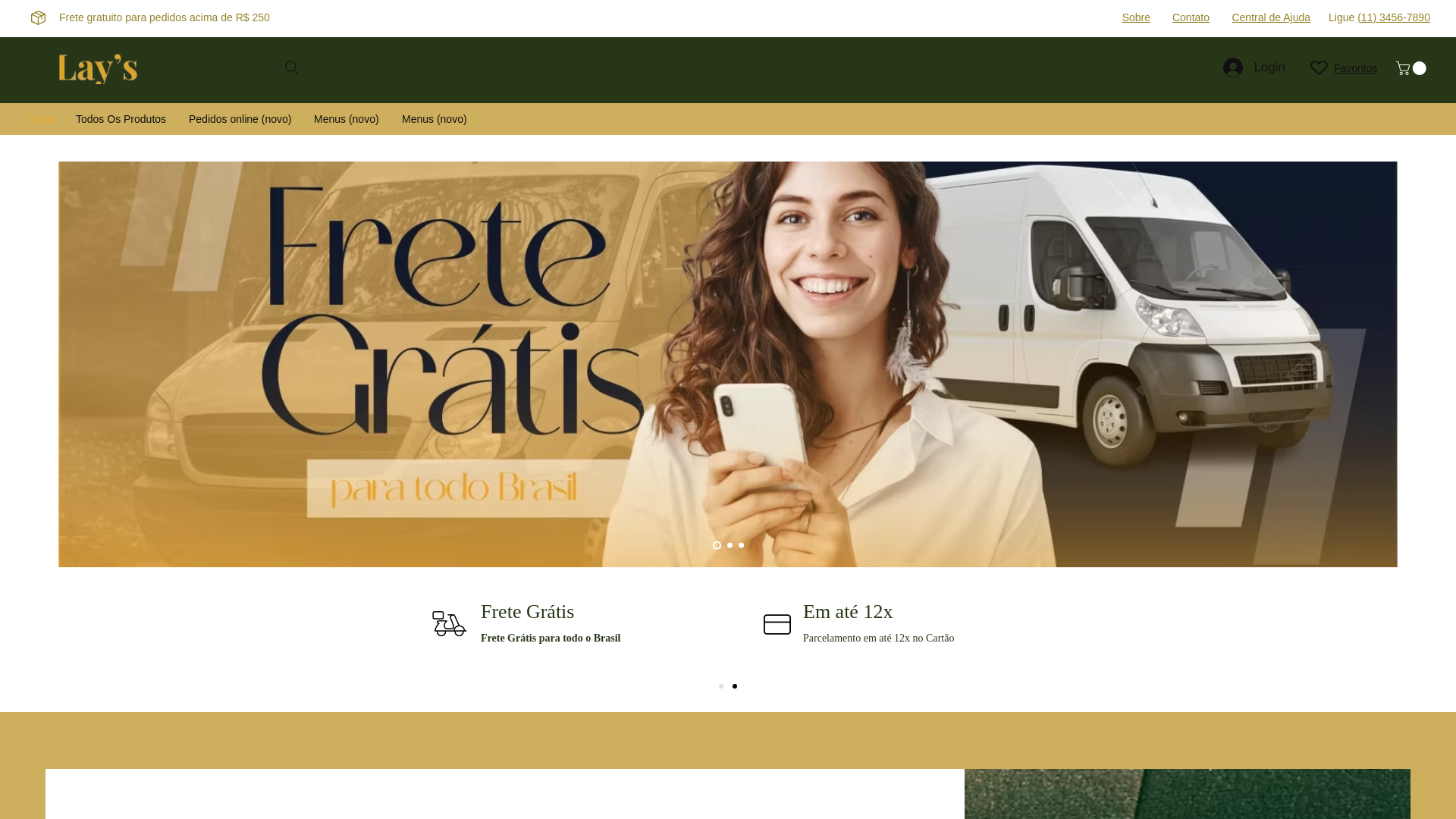 website screenshot of https://laystylle.com