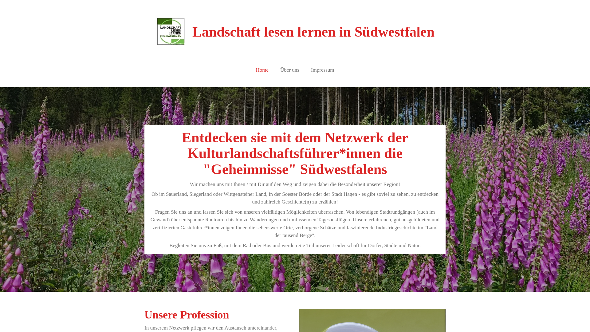 website screenshot of https://landschaftlesenlernen.org/
