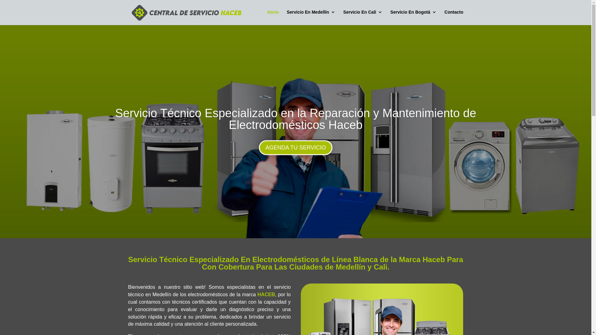 website screenshot of https://centrodetecnicoshaceb.online/