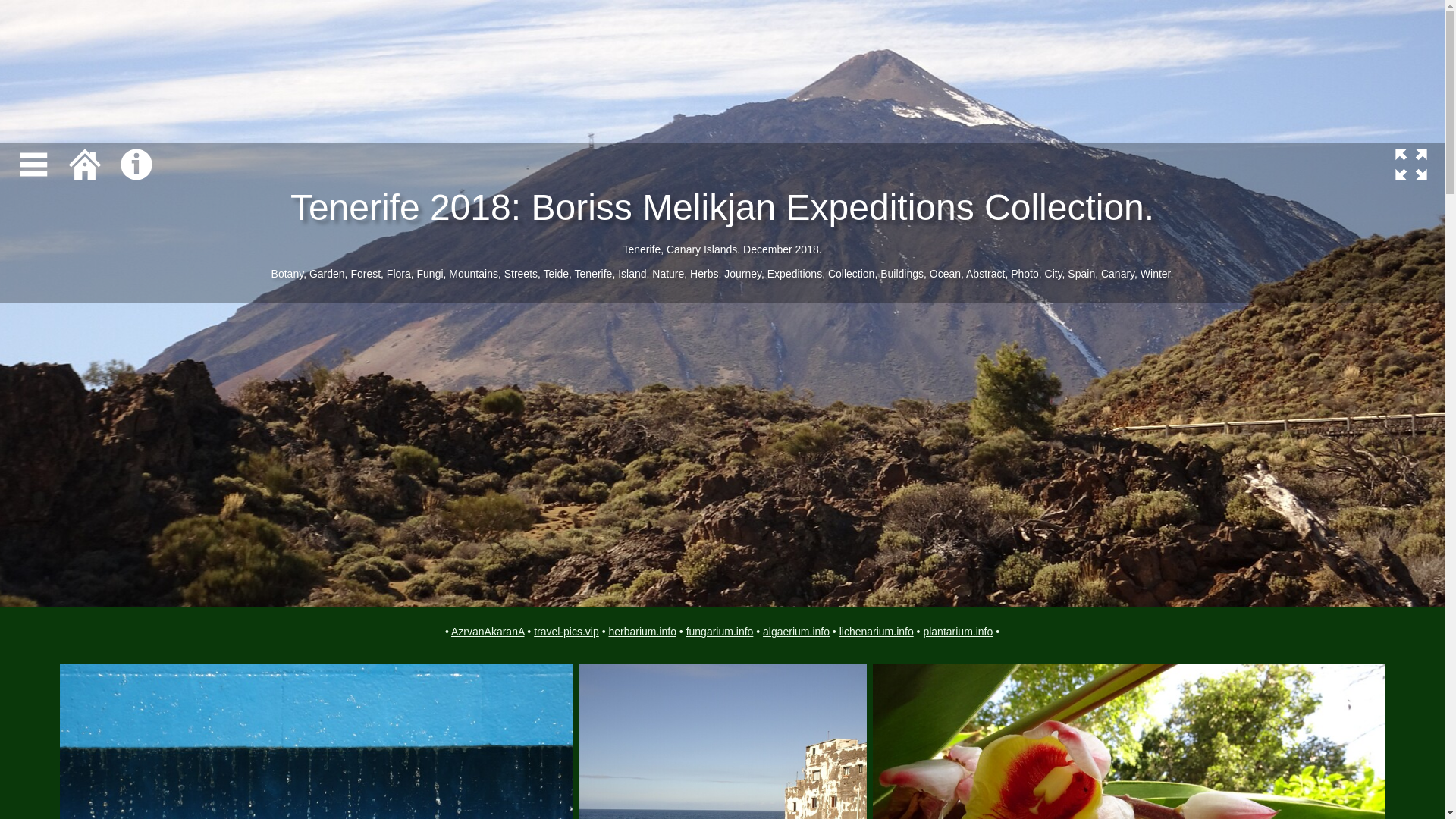 website screenshot of https://tenerife-travel-pics.pages.dev/