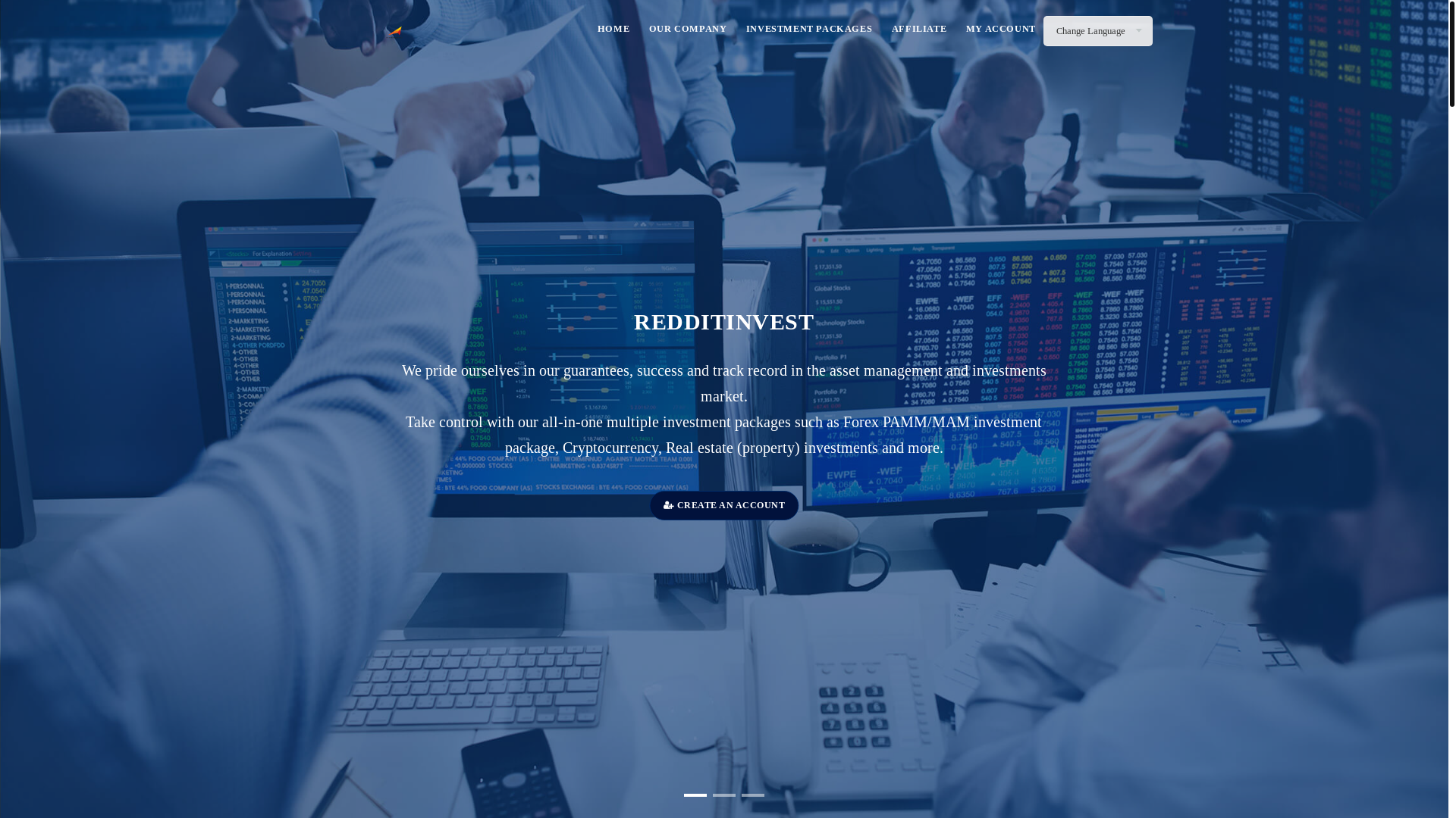 website screenshot of https://redditinvest.ltd/