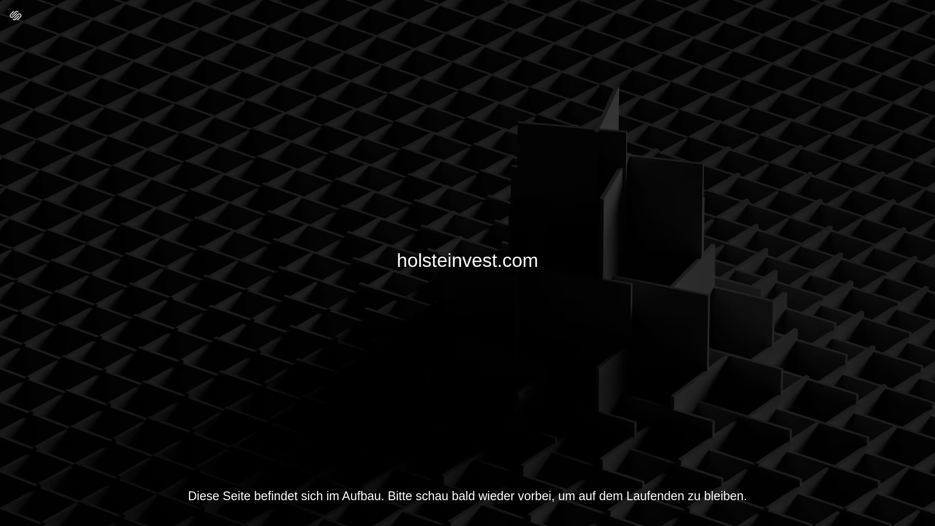website screenshot of https://holsteinvest.com/