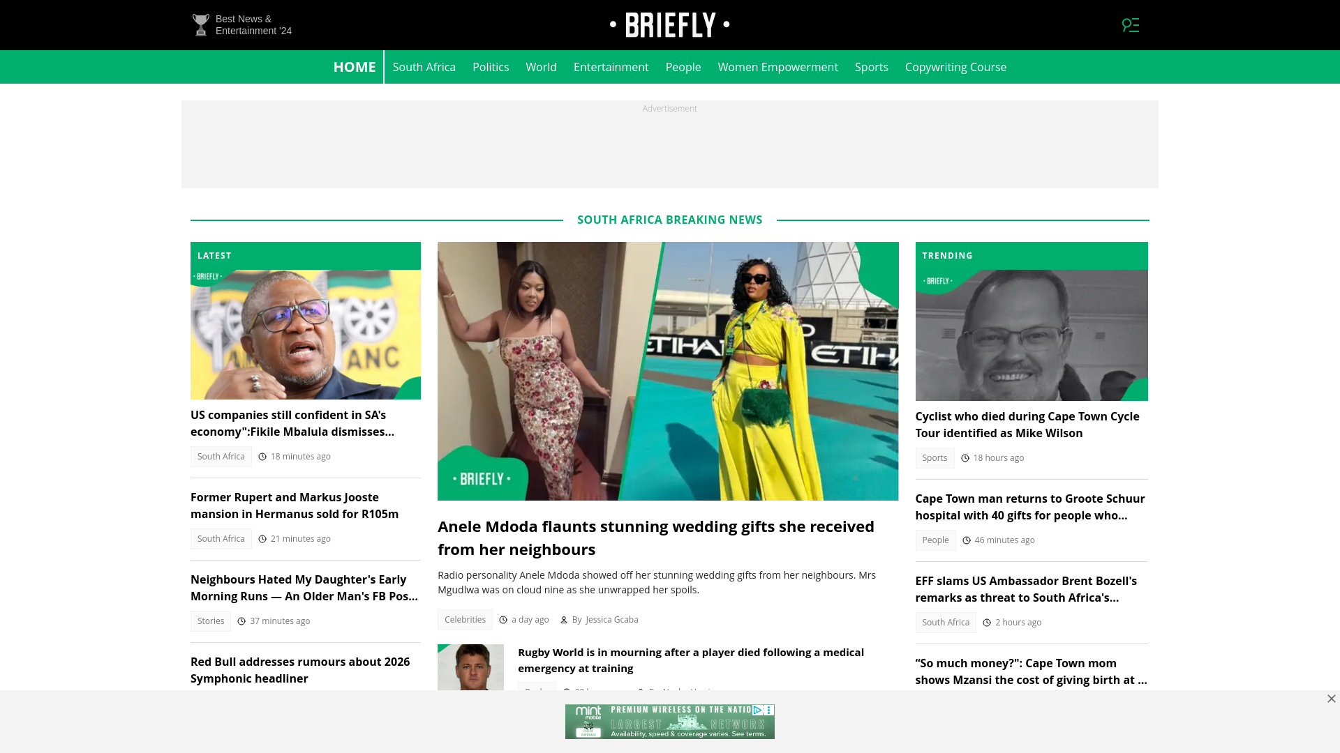 website screenshot of https://briefly.co.za