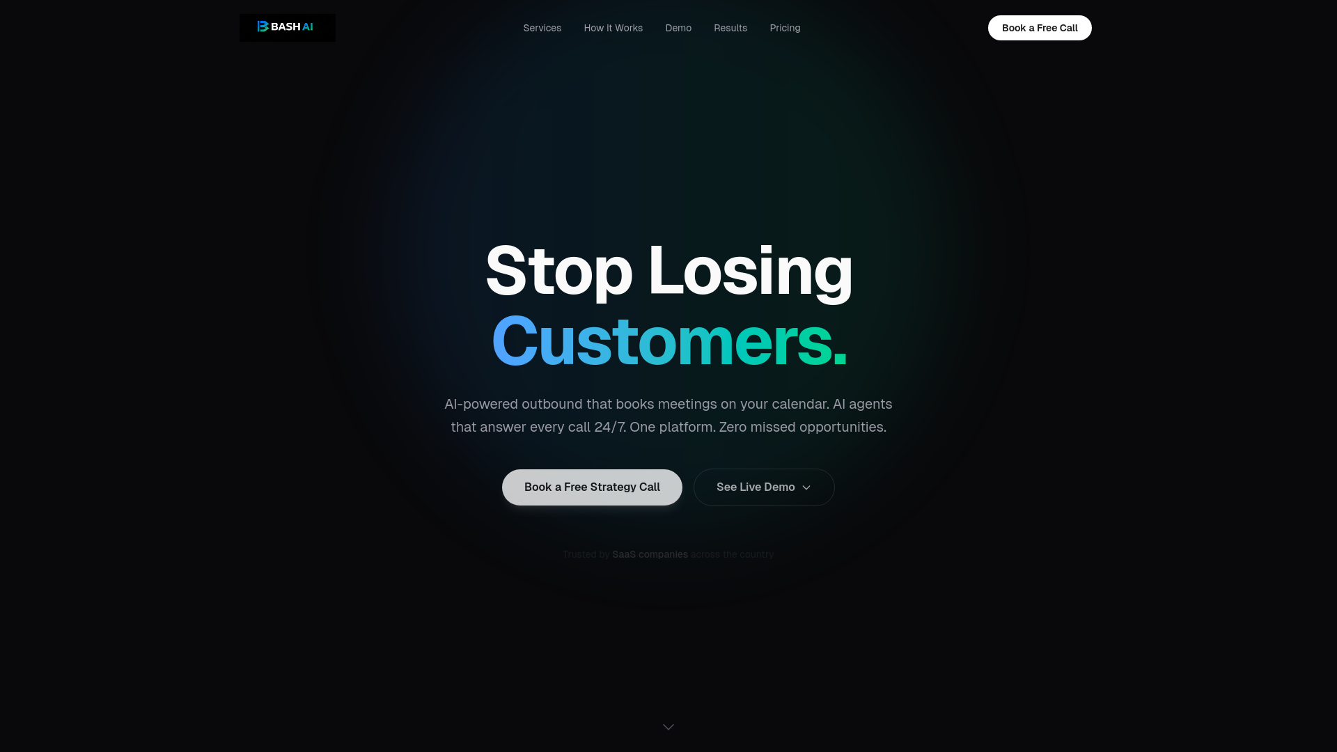 website screenshot of https://reachbash.com/