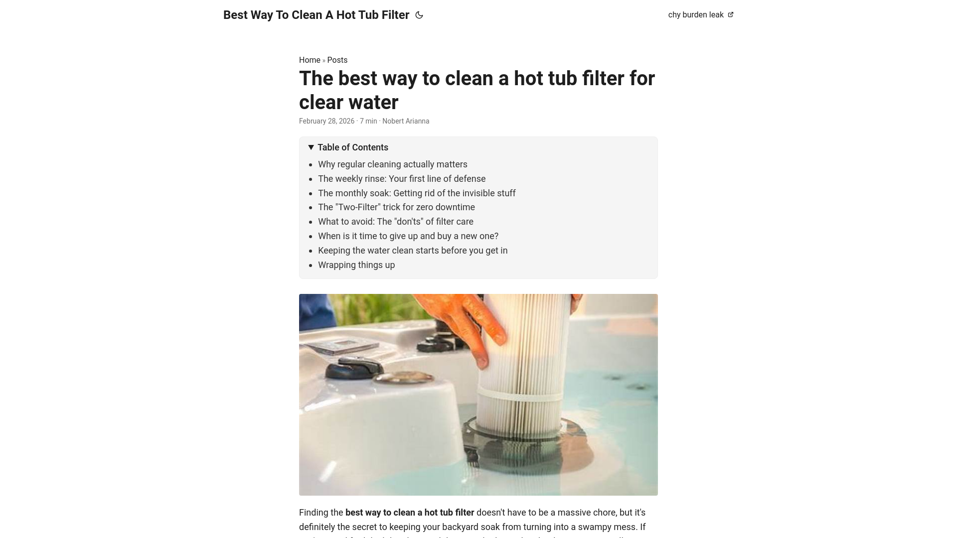 website screenshot of https://best-way-to-clean-a-hot-tub-filter.pages.dev/