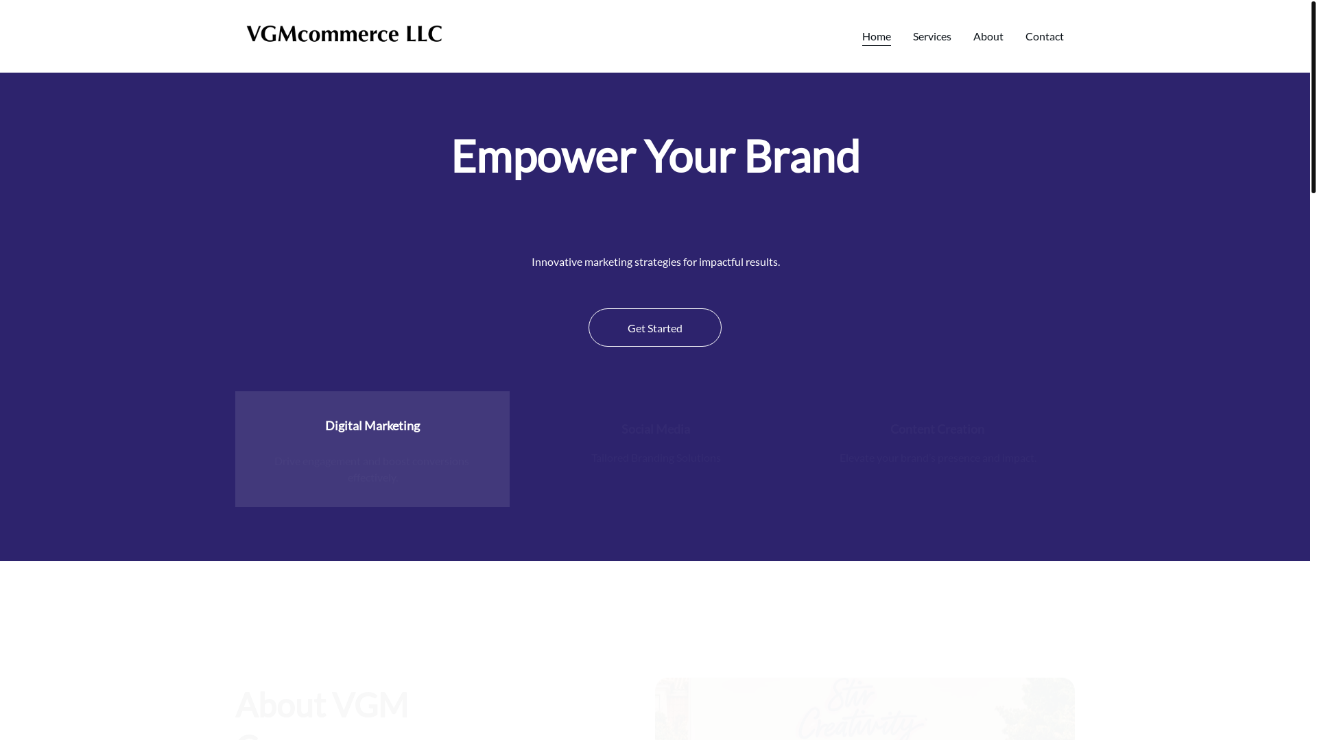 website screenshot of https://vgmcommerce.site/