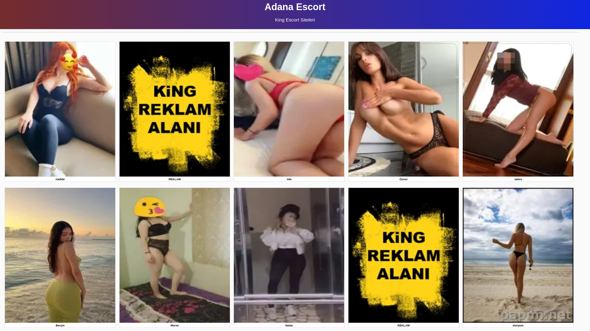 website screenshot of https://adanaharunun.store/