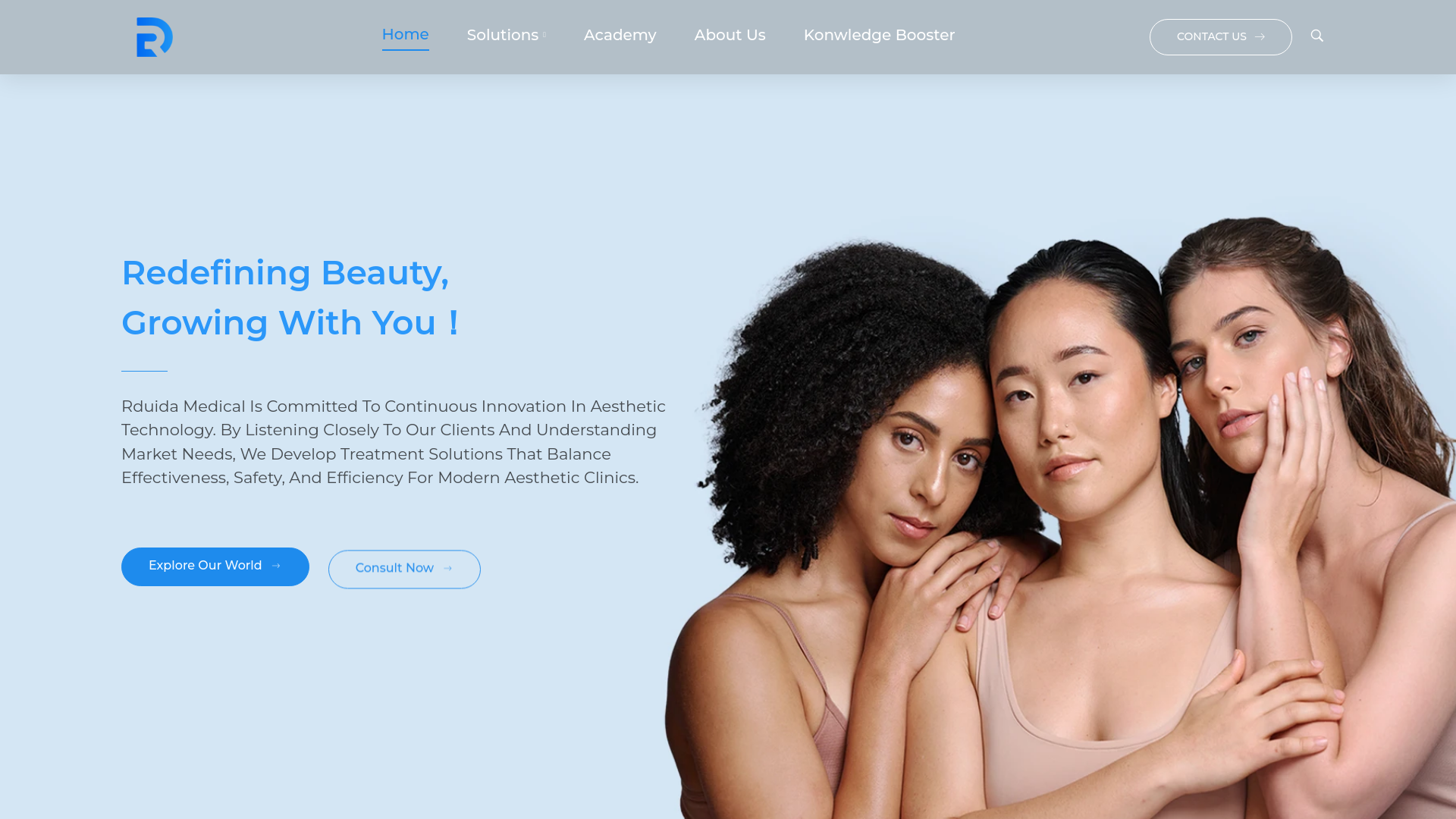 website screenshot of https://ruidaaesthetic.com