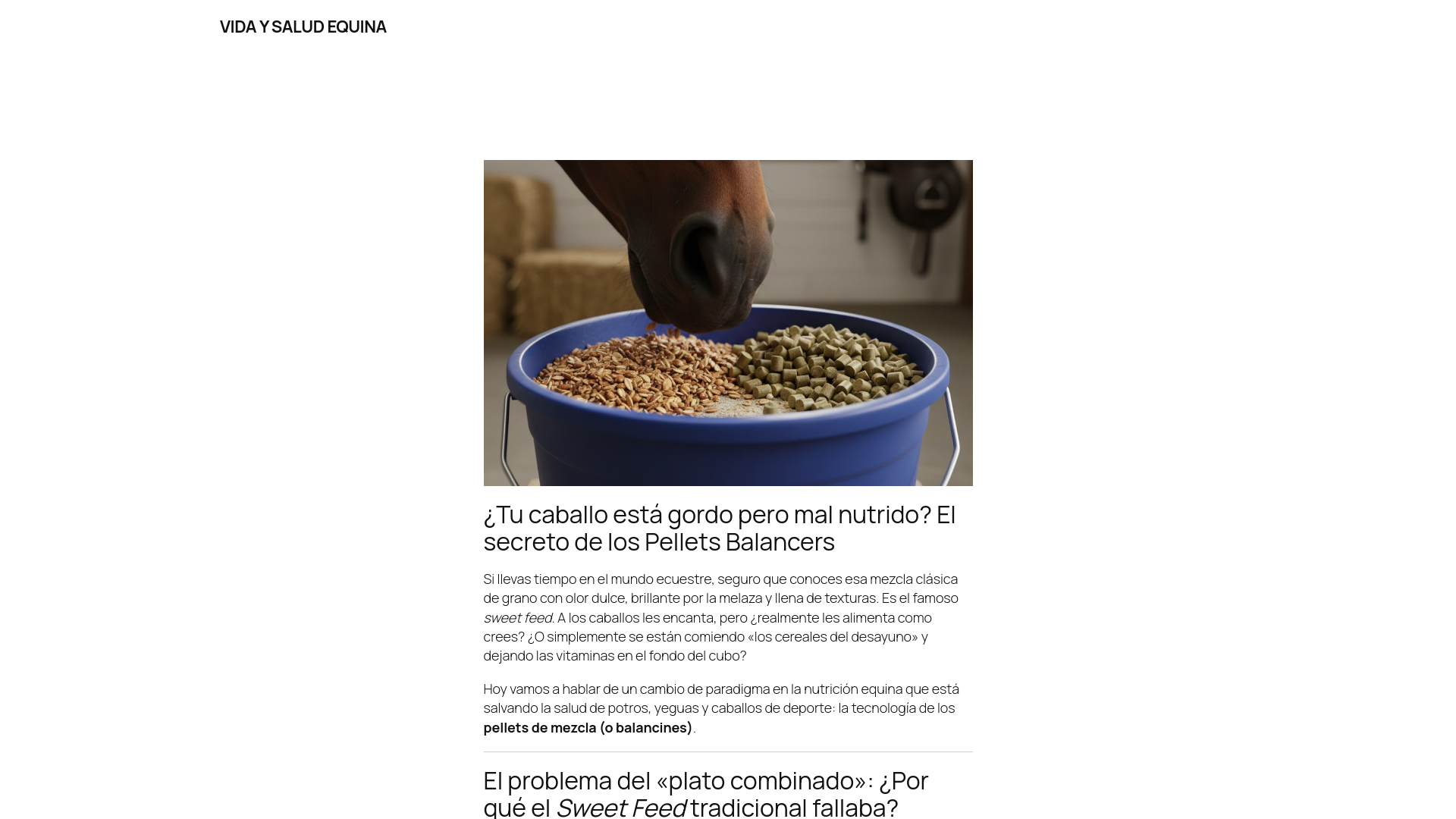 website screenshot of https://vidaysaludequina.com/