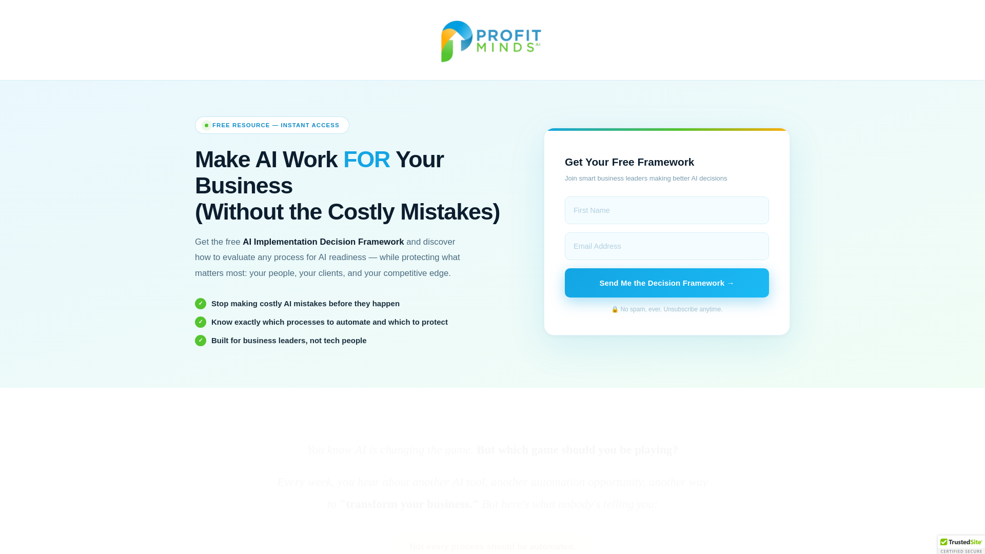 website screenshot of https://aidecisionframework.com/