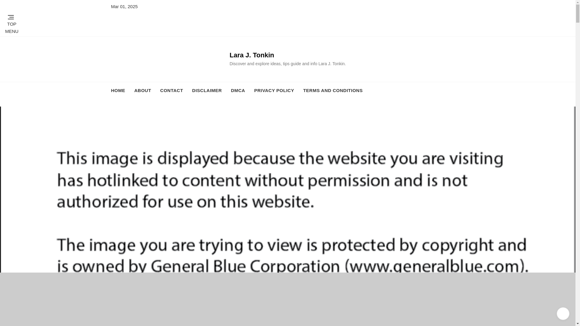 website screenshot of https://larajtonkin.pages.dev/