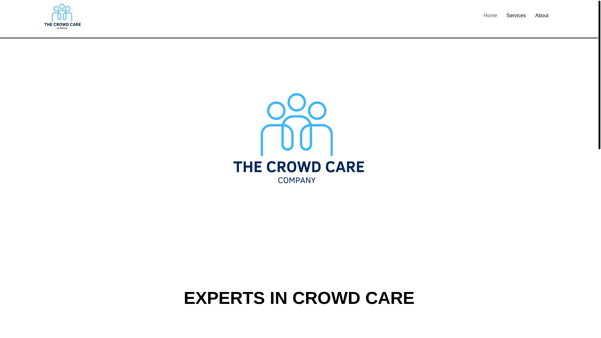 website screenshot of https://thecrowdcarecompany.com/