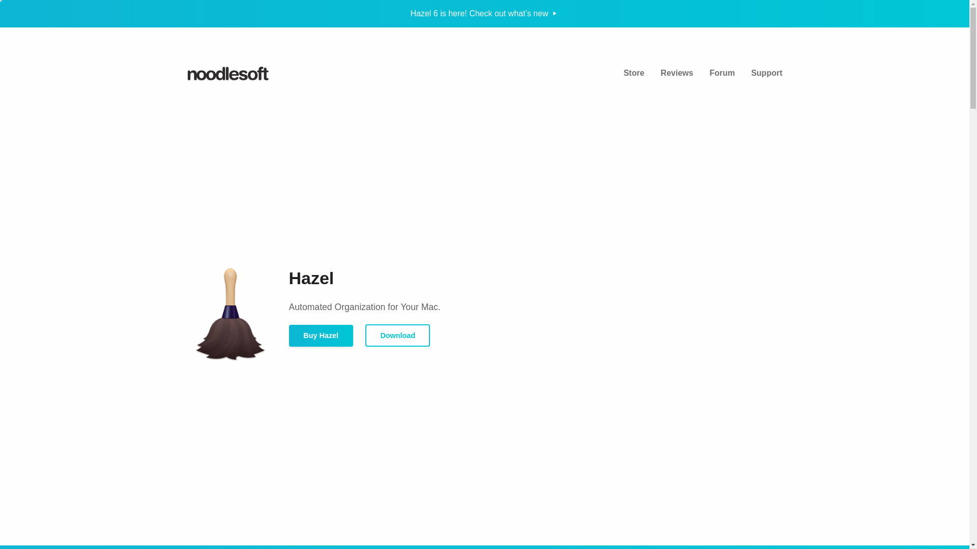 website screenshot of https://noodlesoft.com