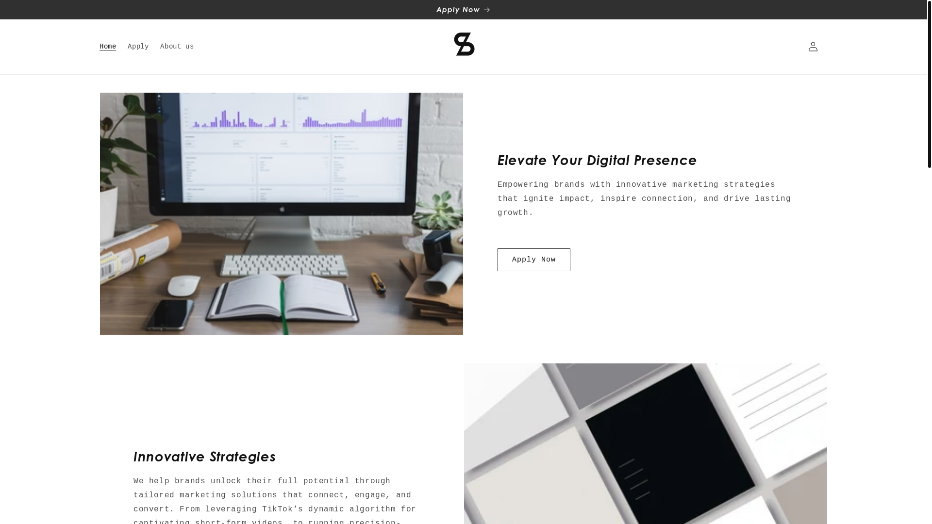 website screenshot of https://scalelinkagency.com/