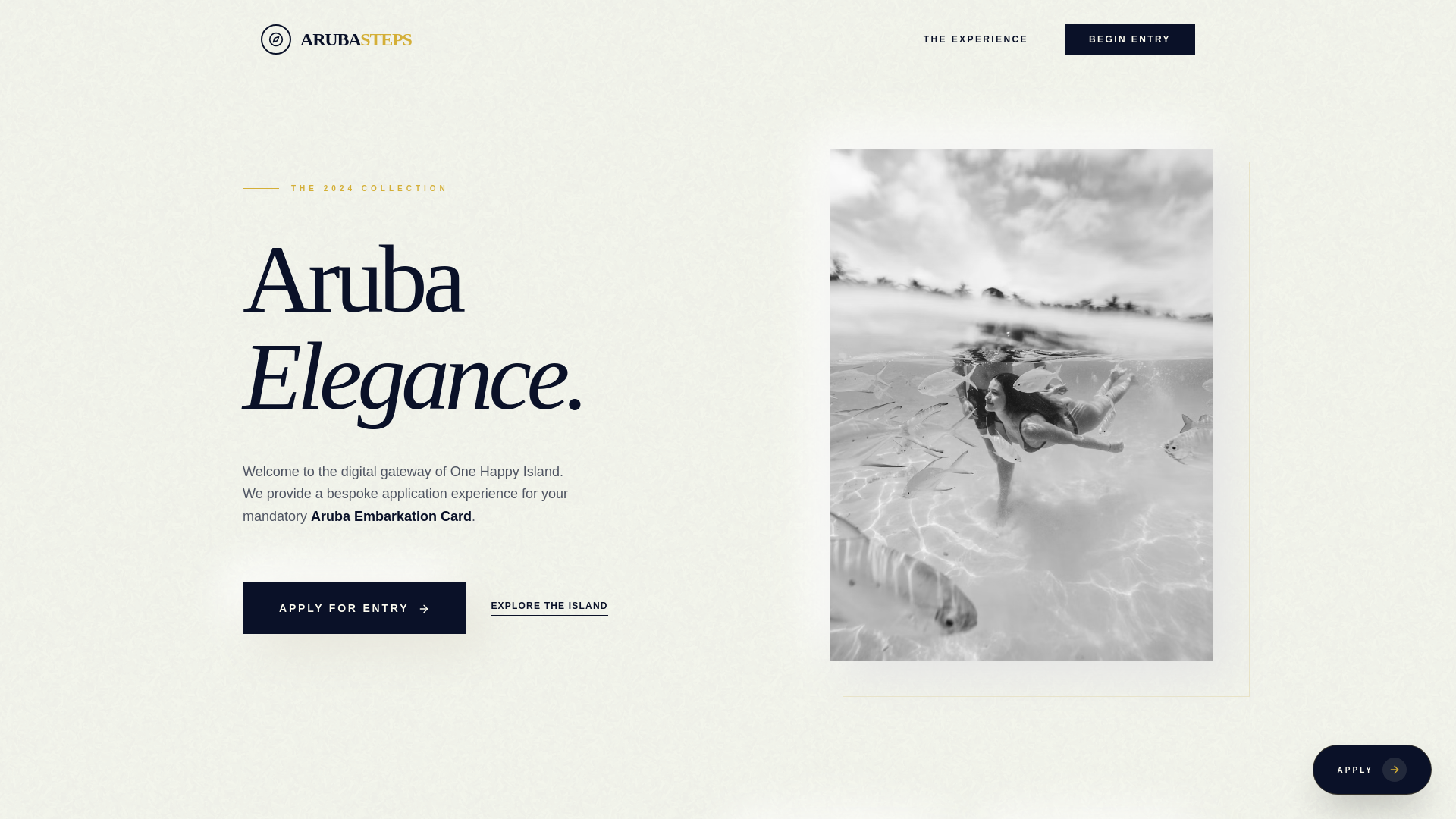 website screenshot of https://arubaedcardsteps.com/