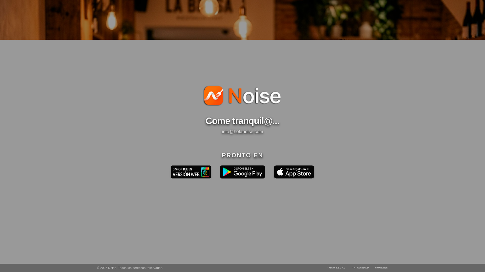 website screenshot of https://holanoise.es/
