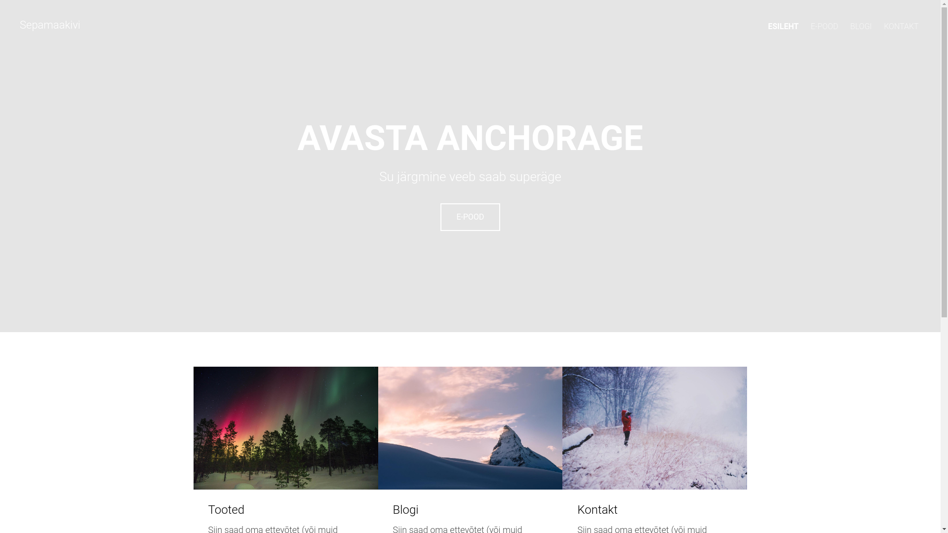 website screenshot of https://sepamaakivi.ee/