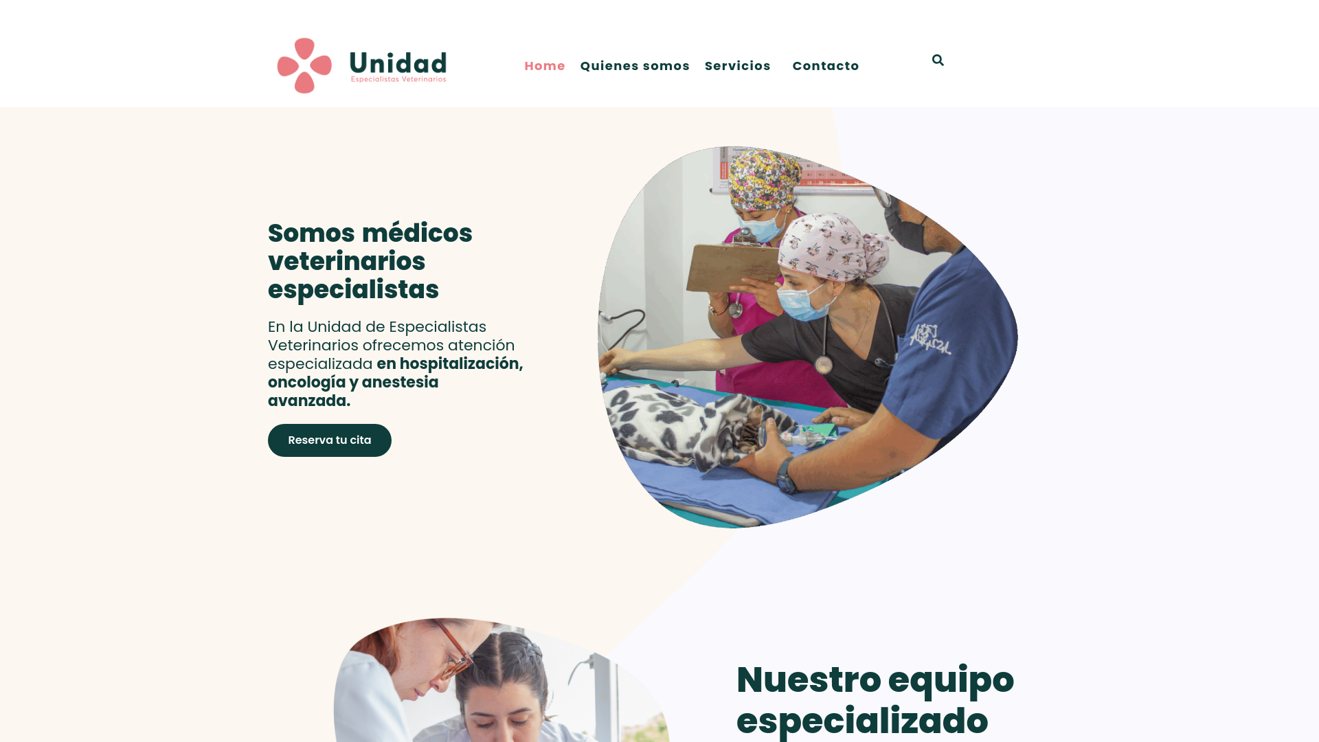website screenshot of https://unidadvet.com