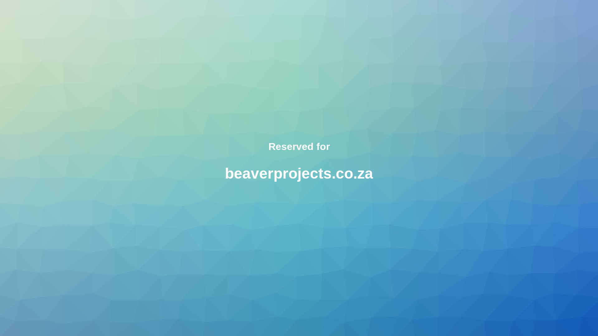 website screenshot of https://beaverprojects.co.za/
