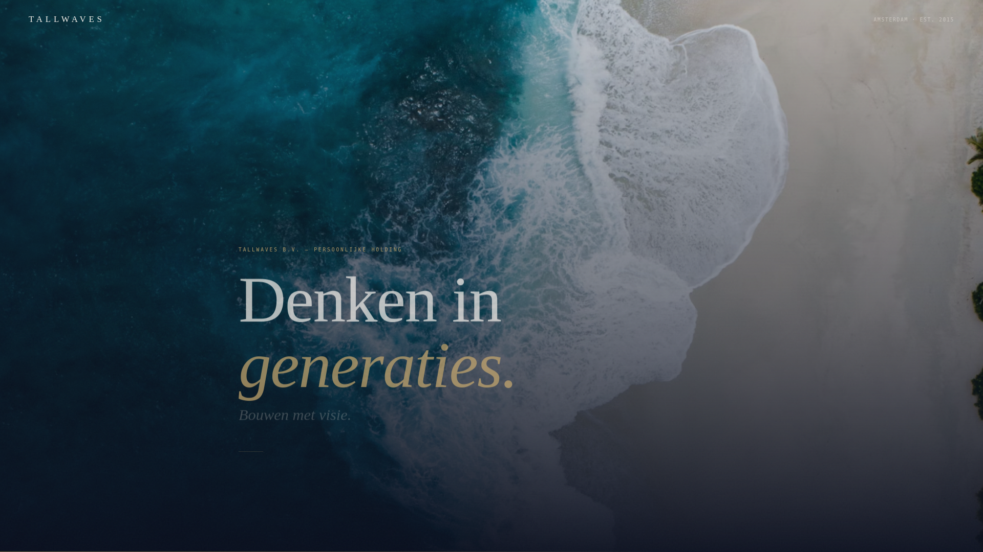 website screenshot of https://tallwaves.pages.dev/