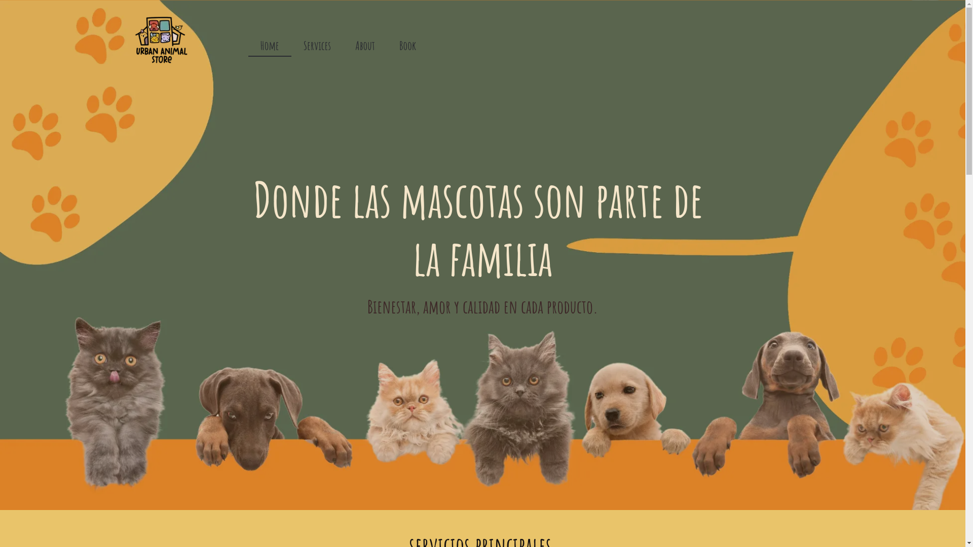 website screenshot of https://angienexovirtual.com/