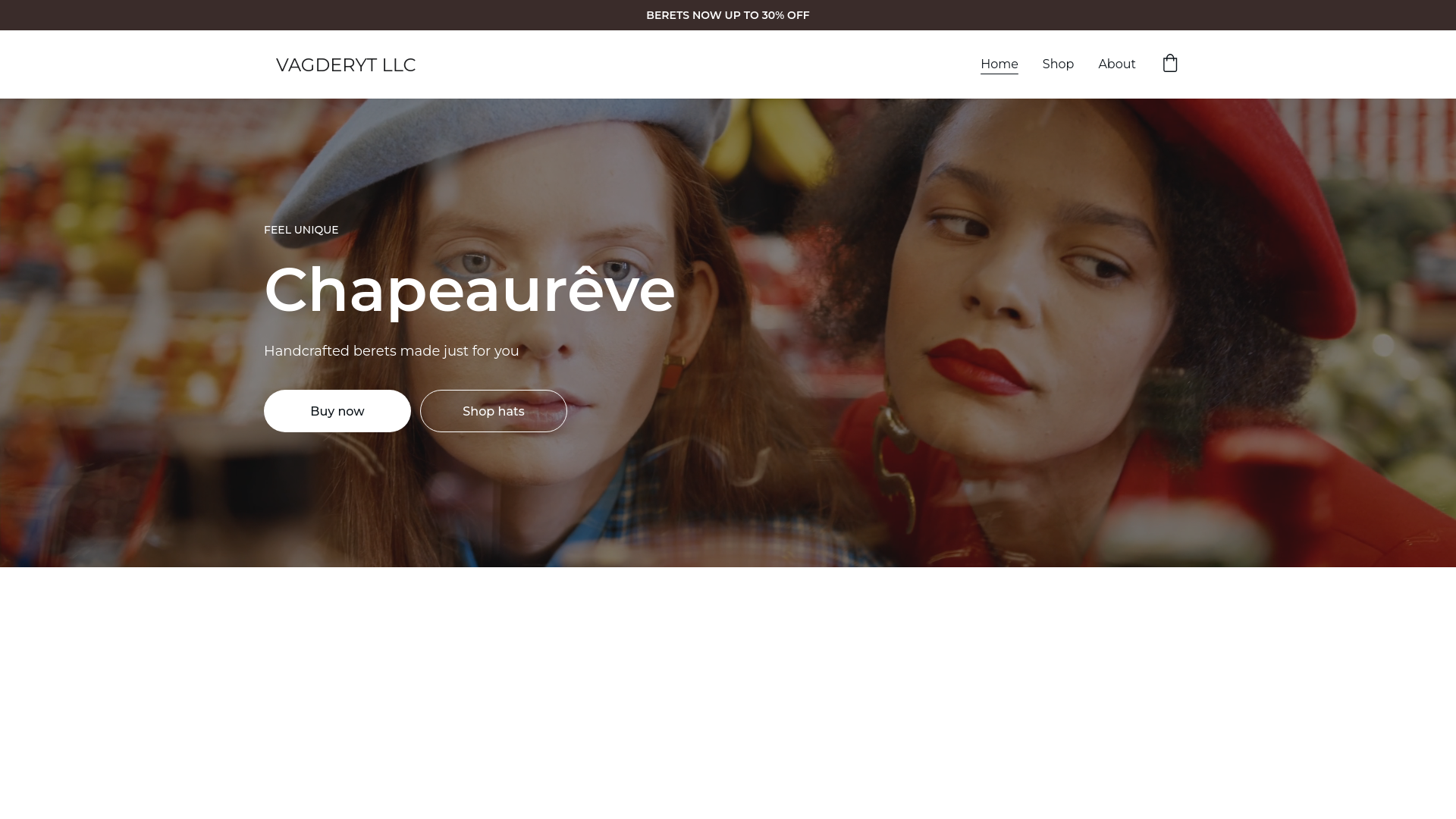 website screenshot of https://vagderyt.sbs/