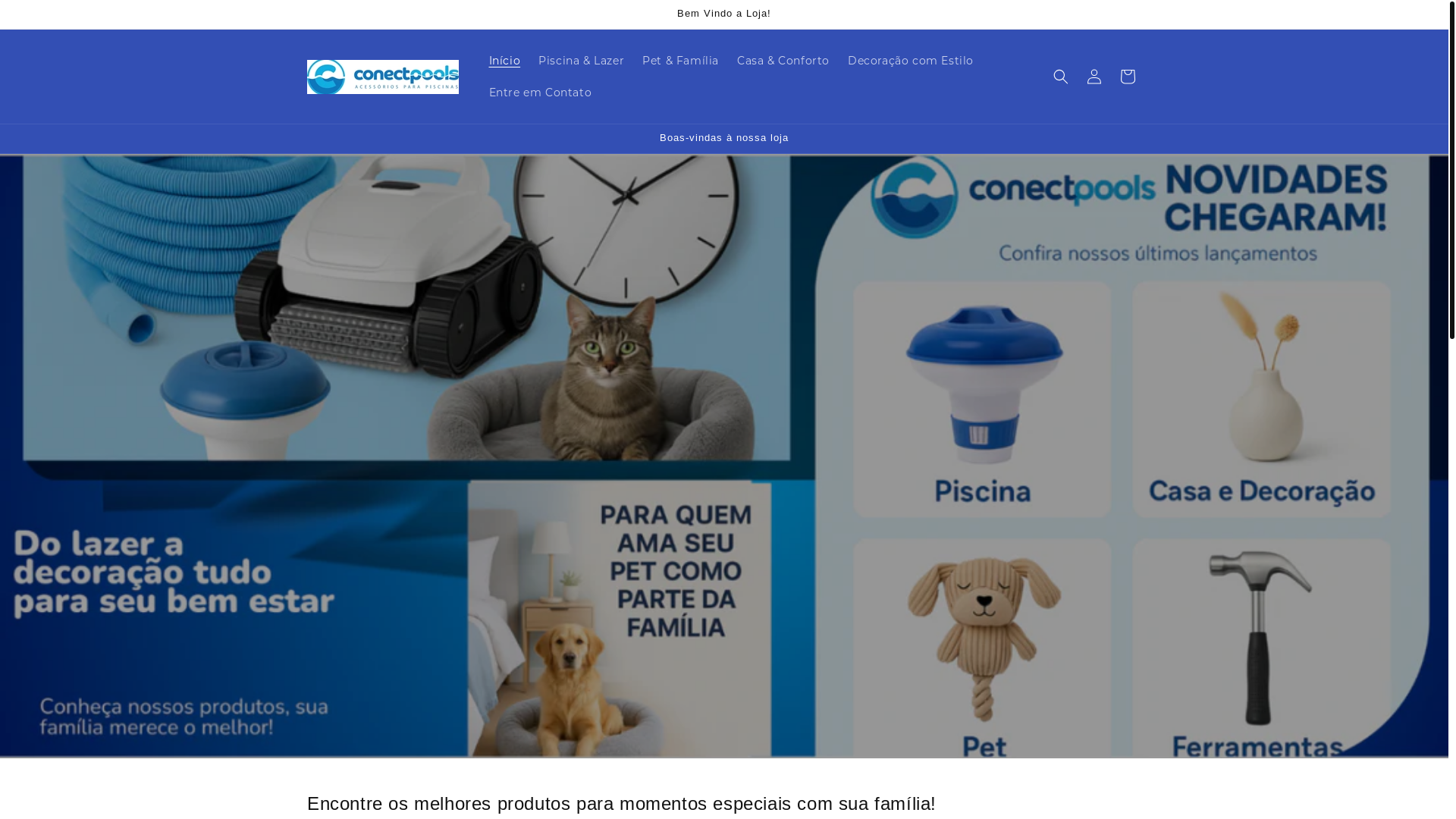 website screenshot of https://conectpools.com/