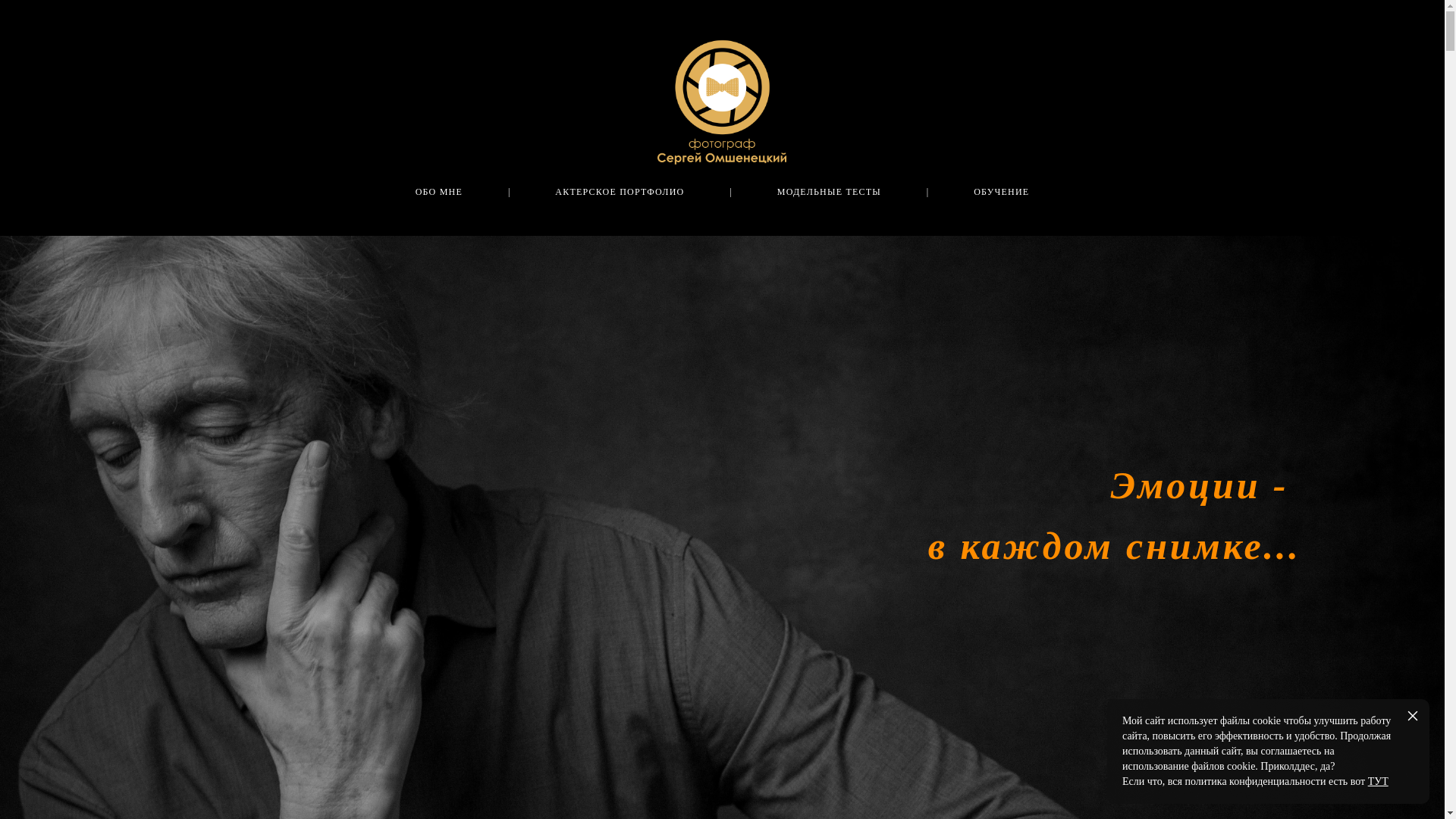 website screenshot of https://xn--h1aeeh5c.xn--p1ai/
