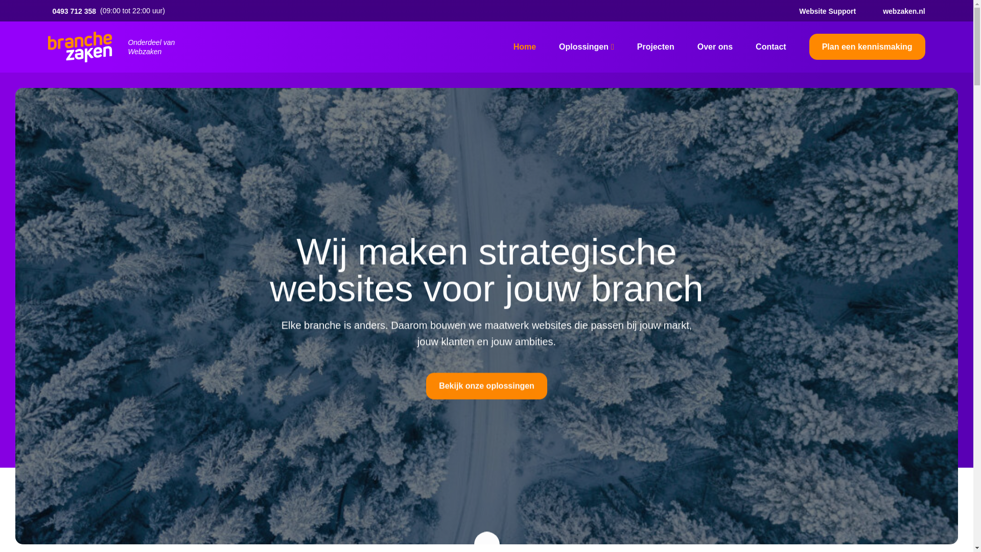 website screenshot of https://branchezaken.nl/