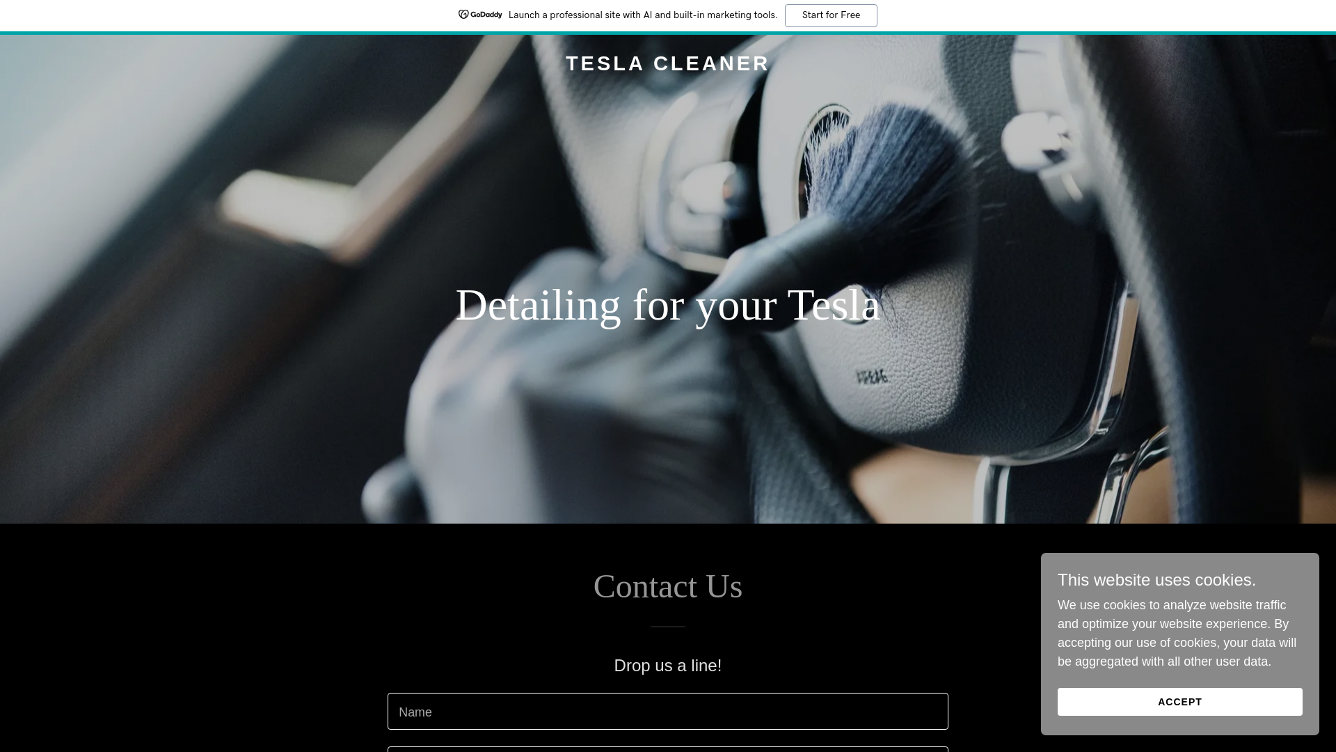 website screenshot of https://teslacleaner.com/