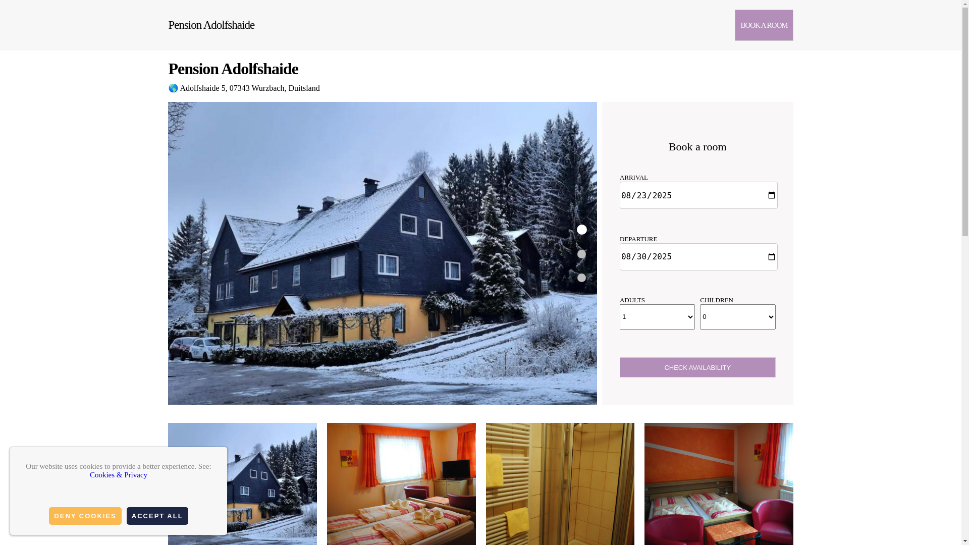 website screenshot of https://pension-adolfshaide.org.es/