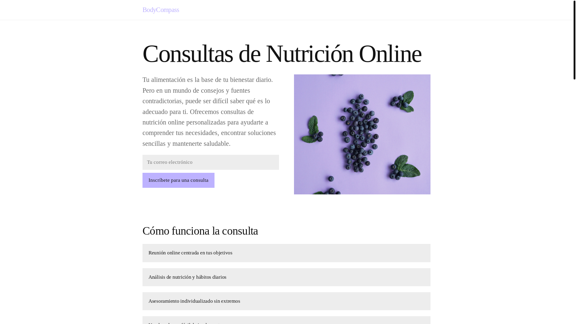 website screenshot of https://bodycompasszone.info/