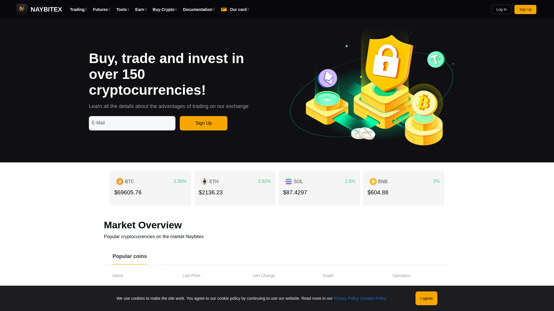 website screenshot of https://naybitex.com