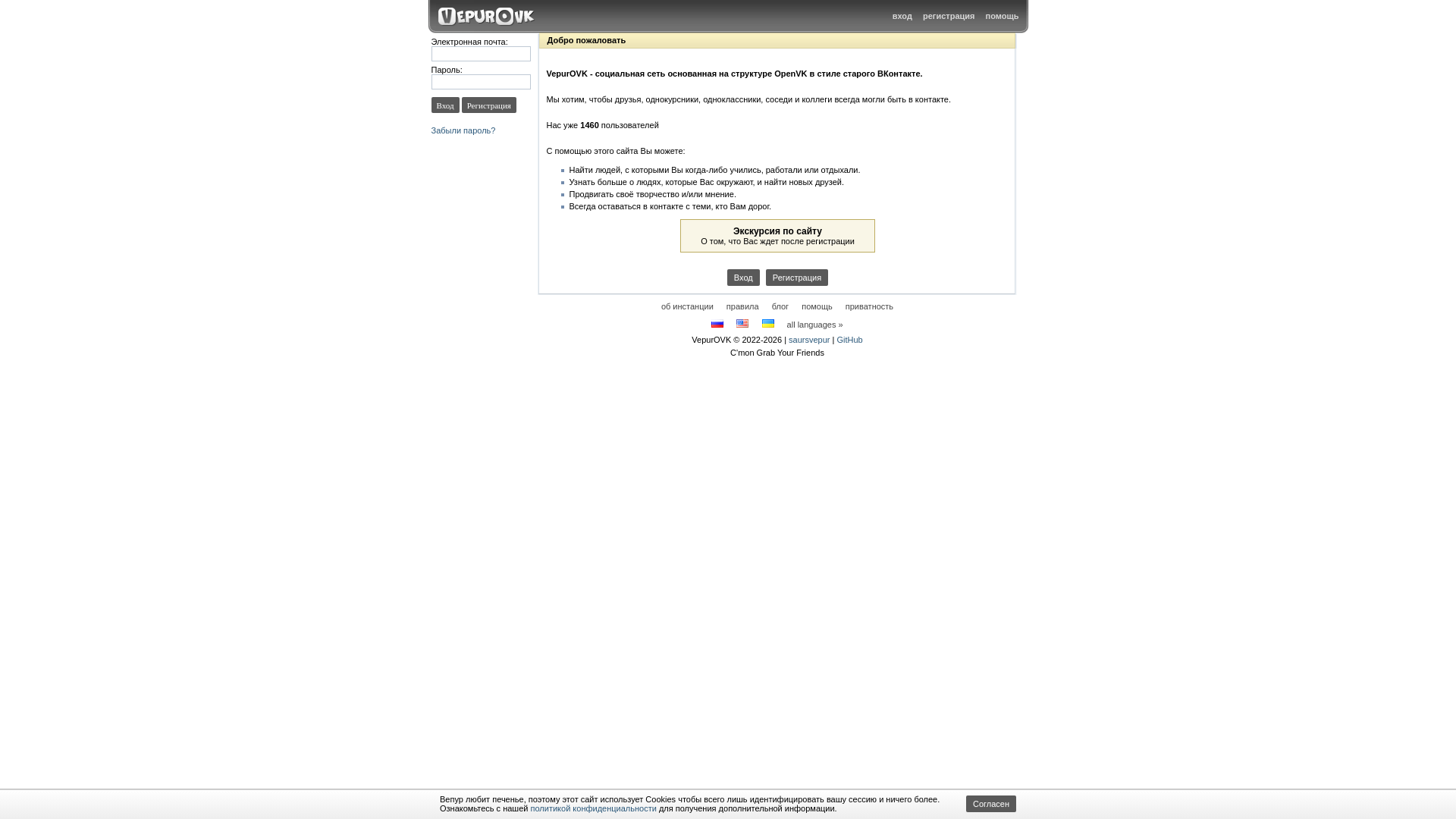 website screenshot of https://vepurovk.xyz/