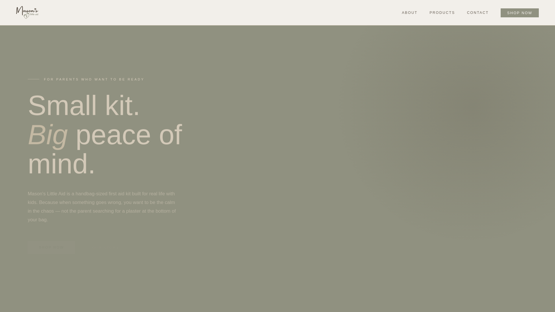 website screenshot of https://masonslittleaid.co.za