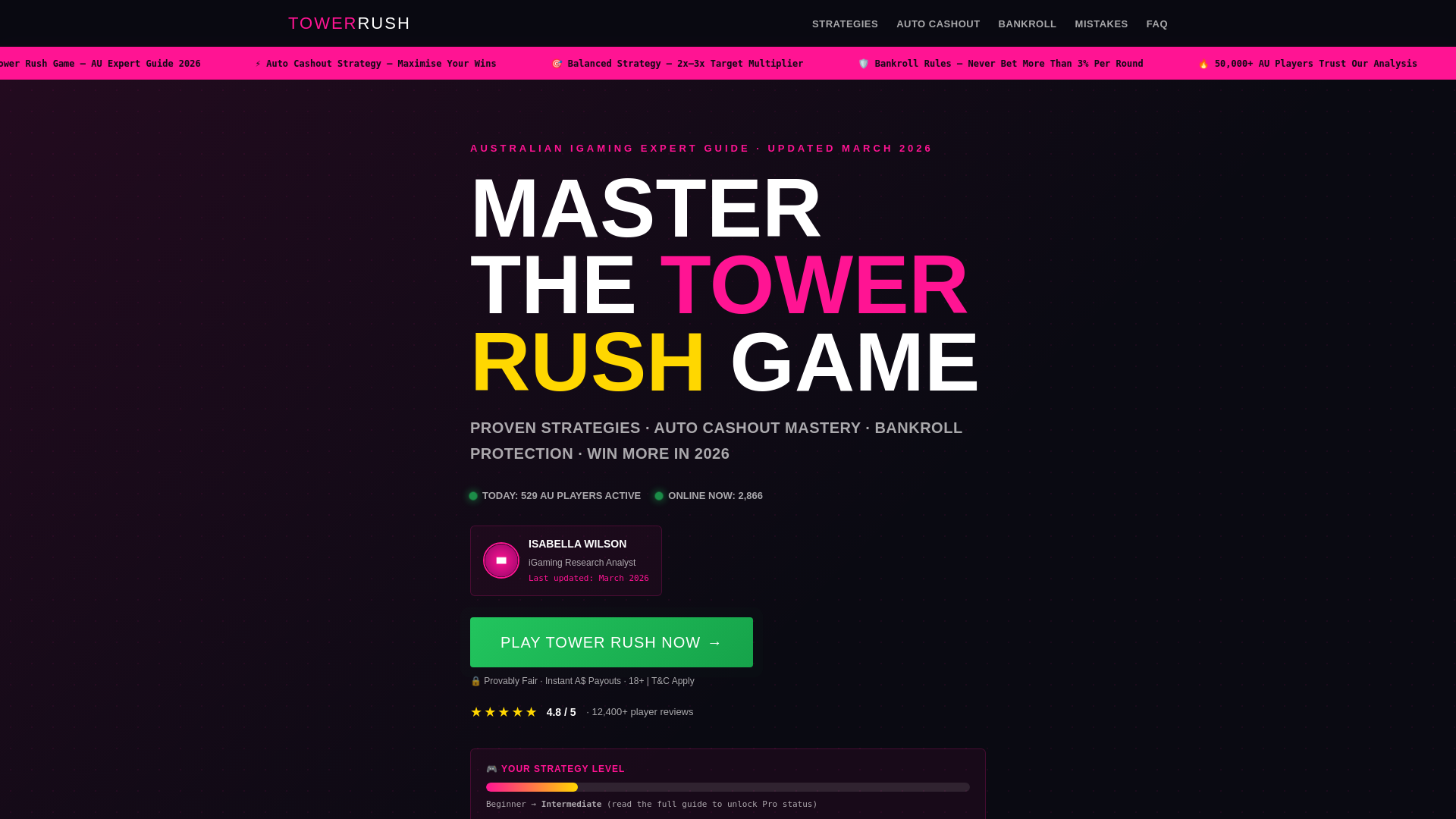 website screenshot of https://careworks-saandnt-org.pages.dev/
