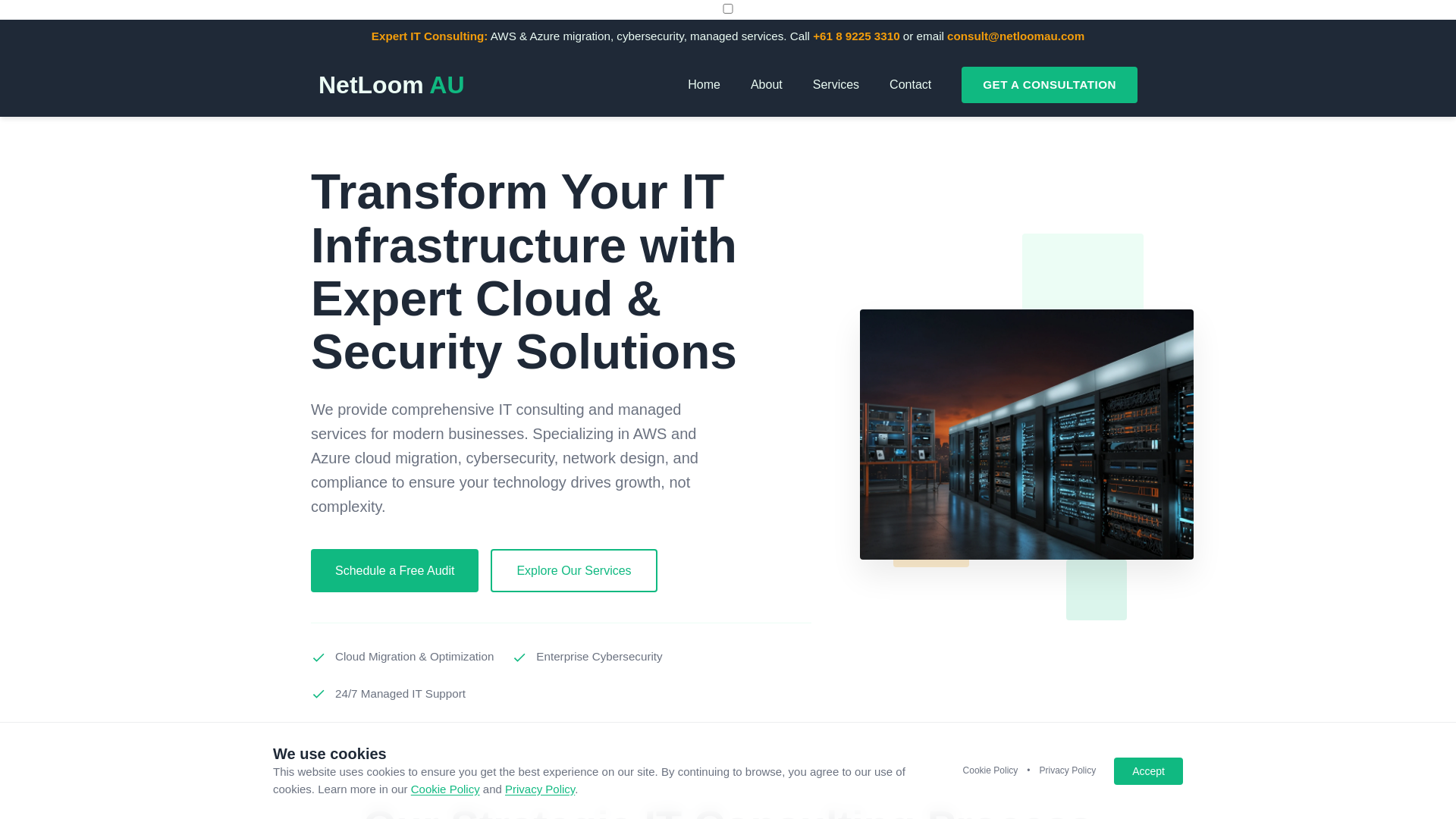 website screenshot of https://netloomau.com