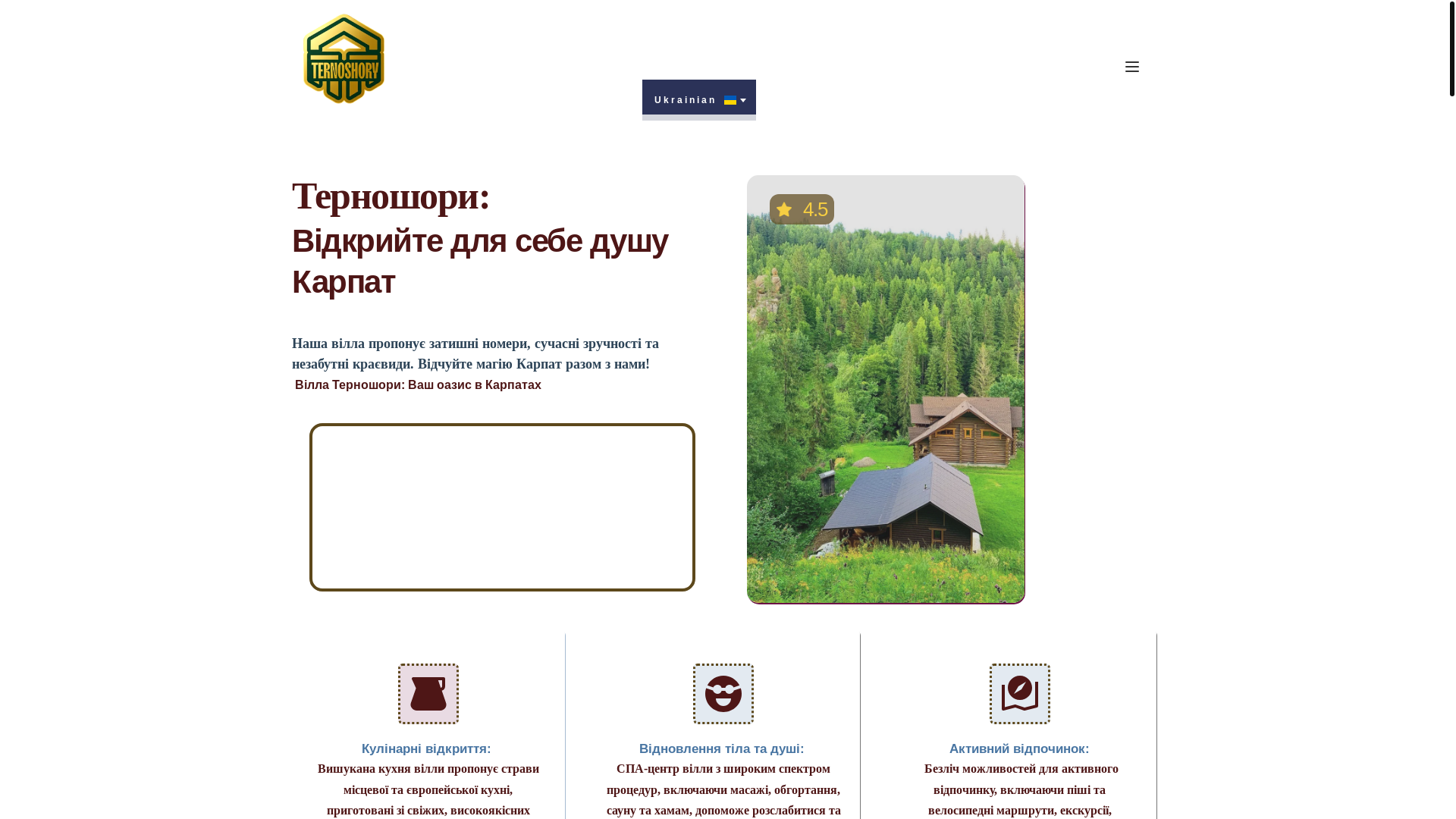 website screenshot of https://ternoshory.com/