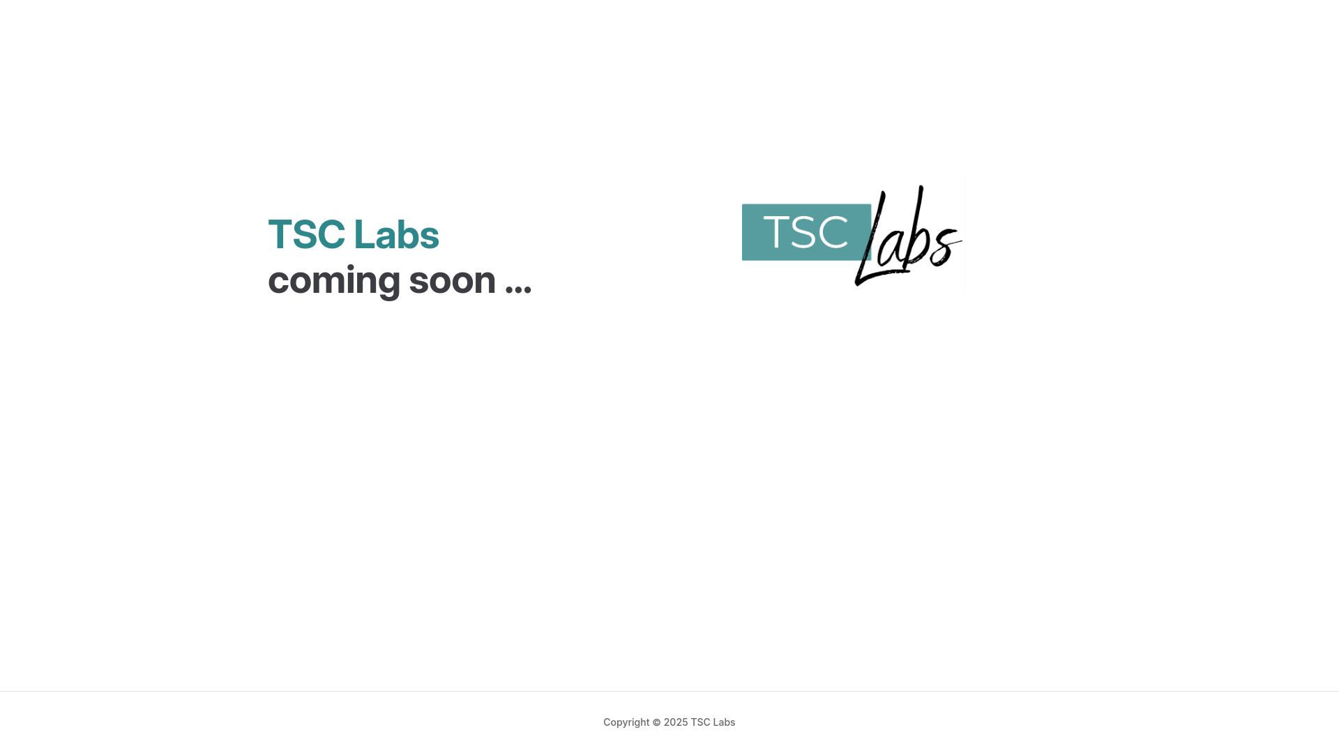 website screenshot of https://tsclabs-web.pages.dev/