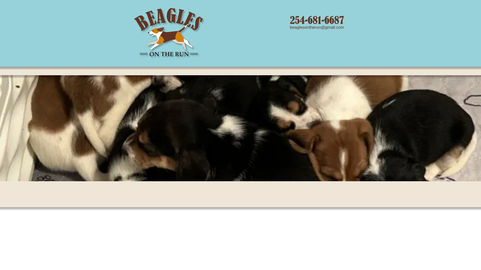 website screenshot of https://beaglesontherun.com/