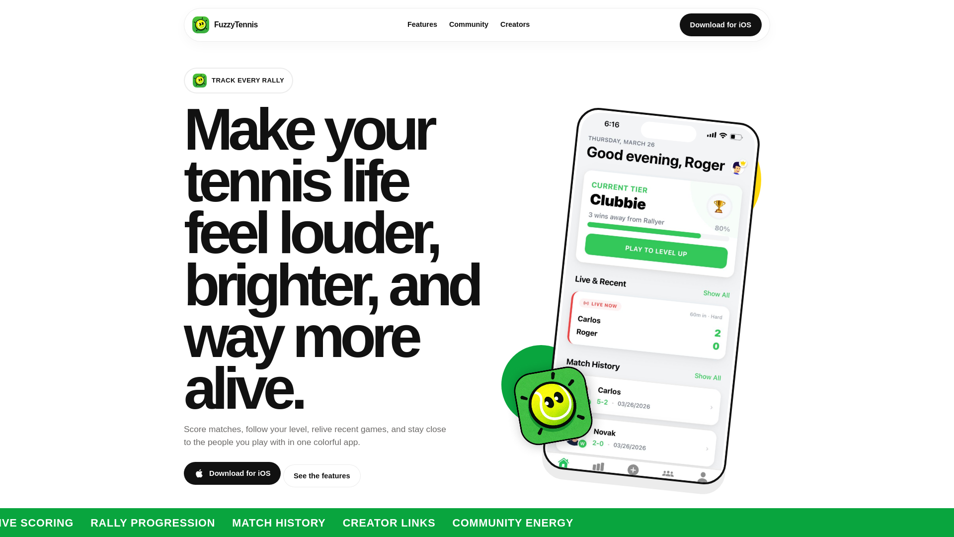website screenshot of https://fuzzytennis.info