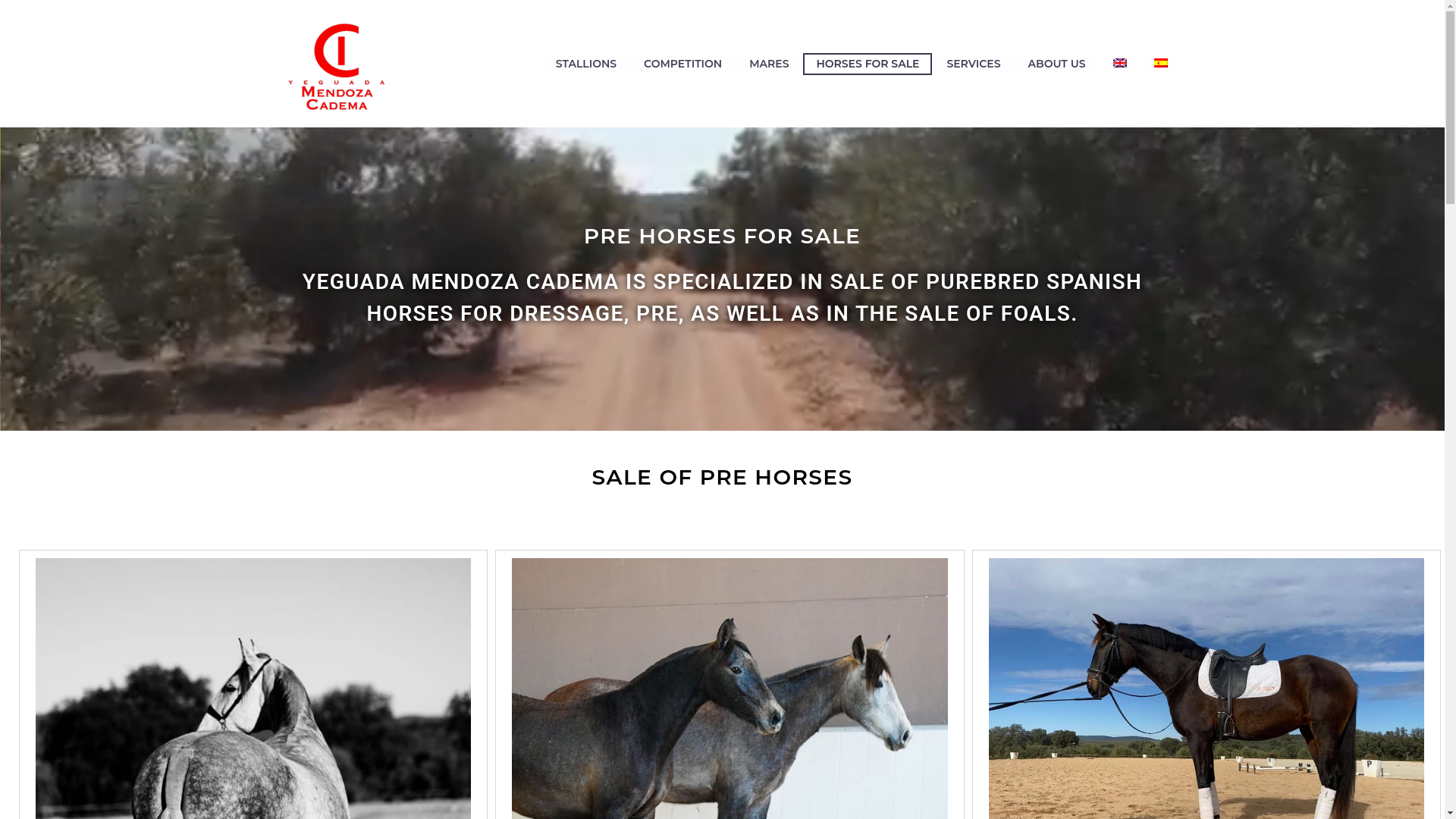 website screenshot of https://www.caballospremendoza.es/en/horses-for-sale/