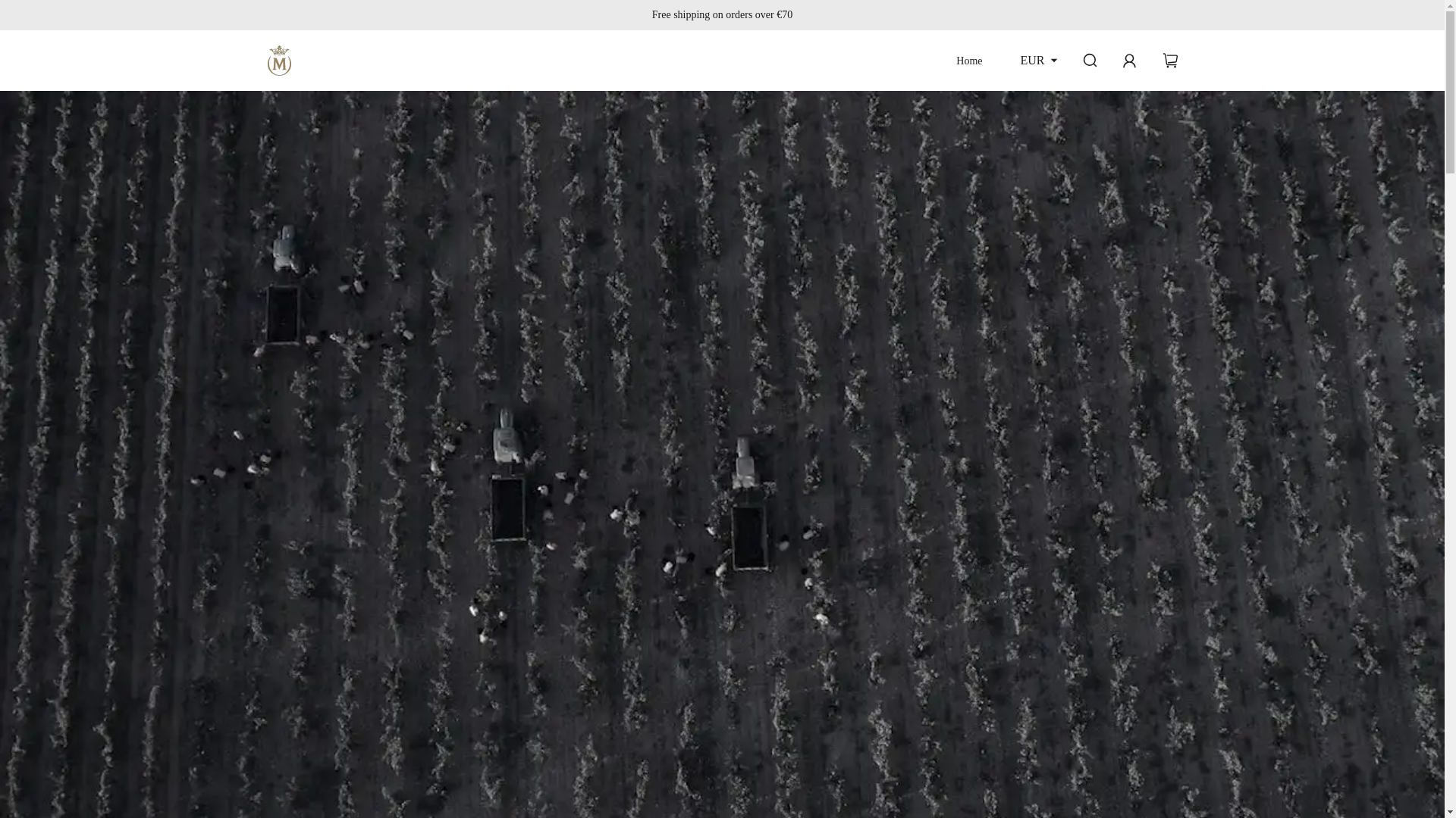 website screenshot of https://marquesdemurrieta-outlet.top/