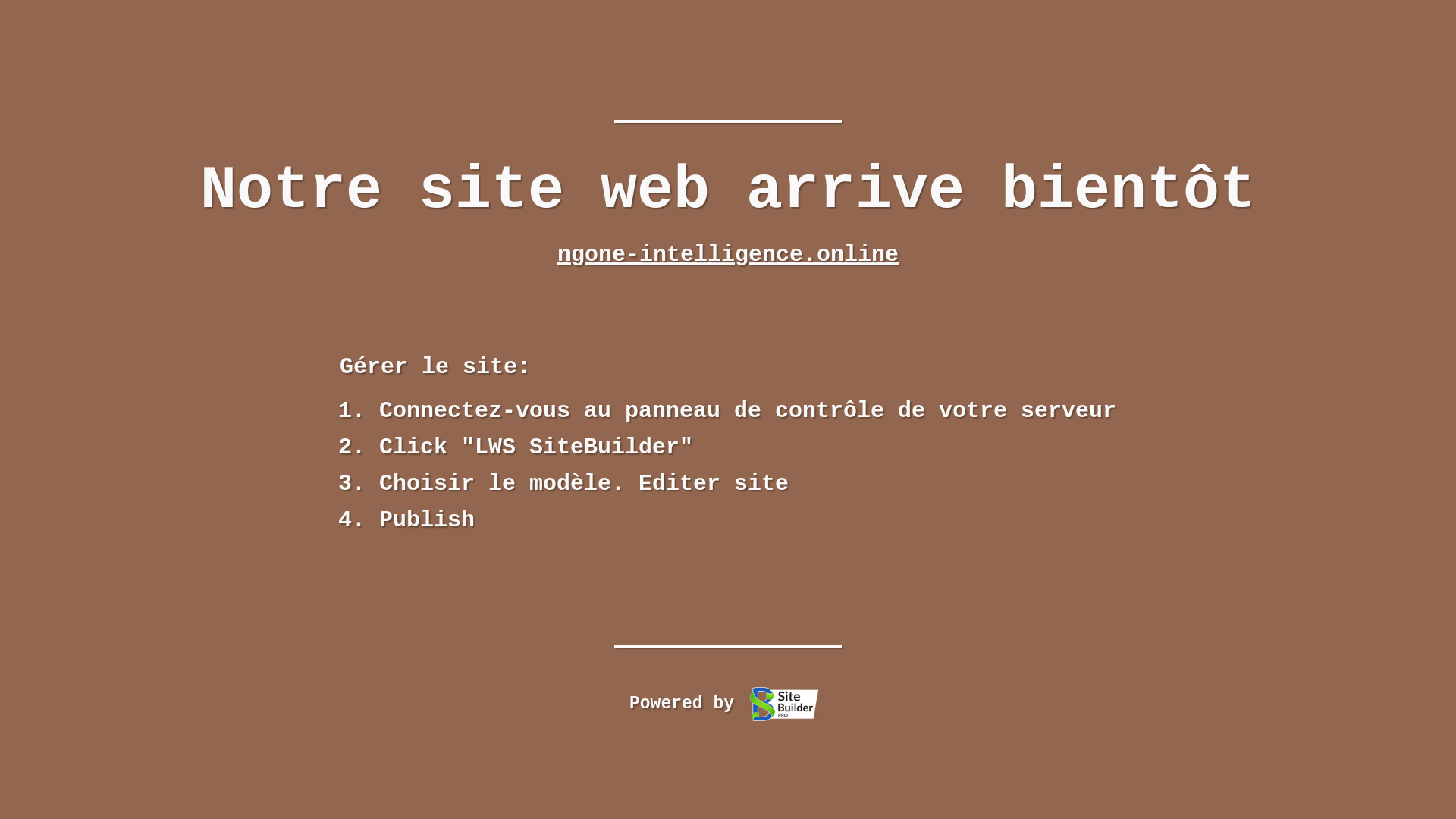 website screenshot of https://ngone-intelligence.online/