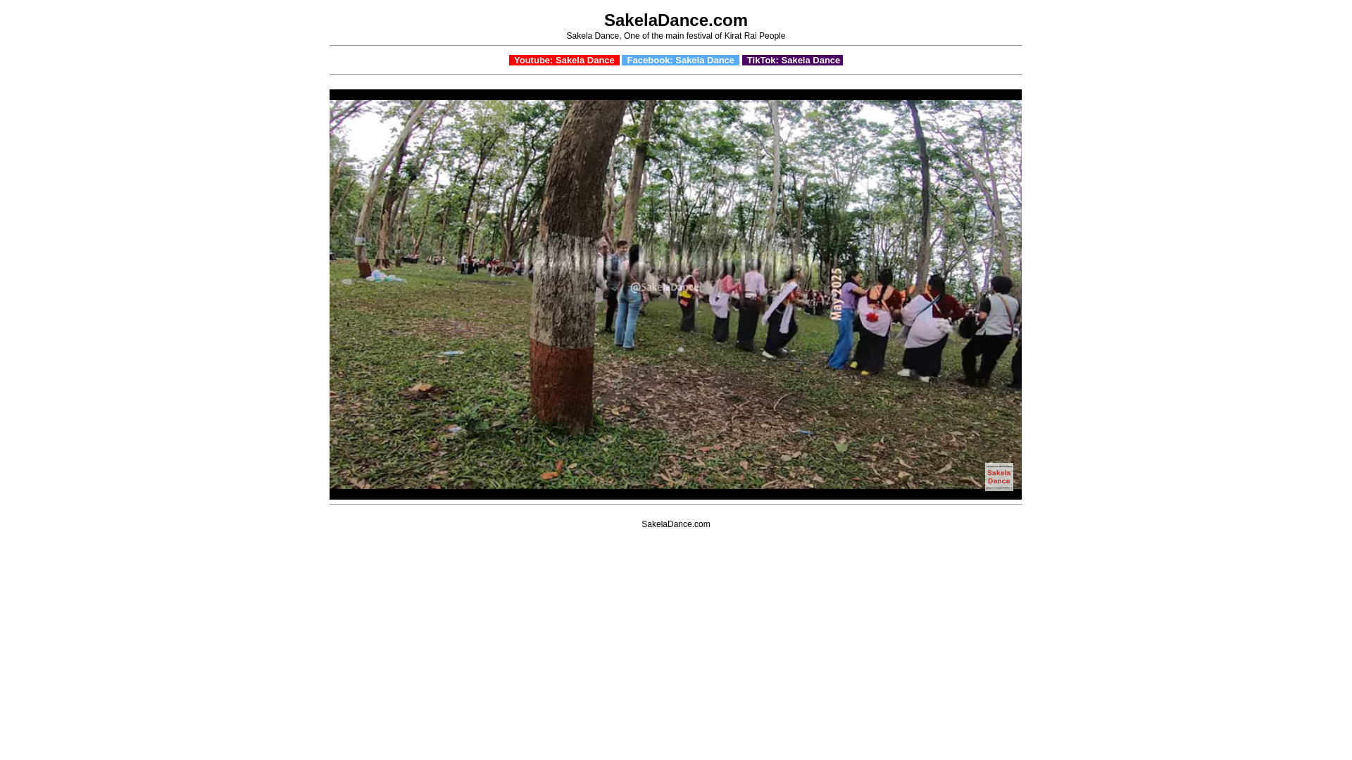 website screenshot of https://sakeladance.store/