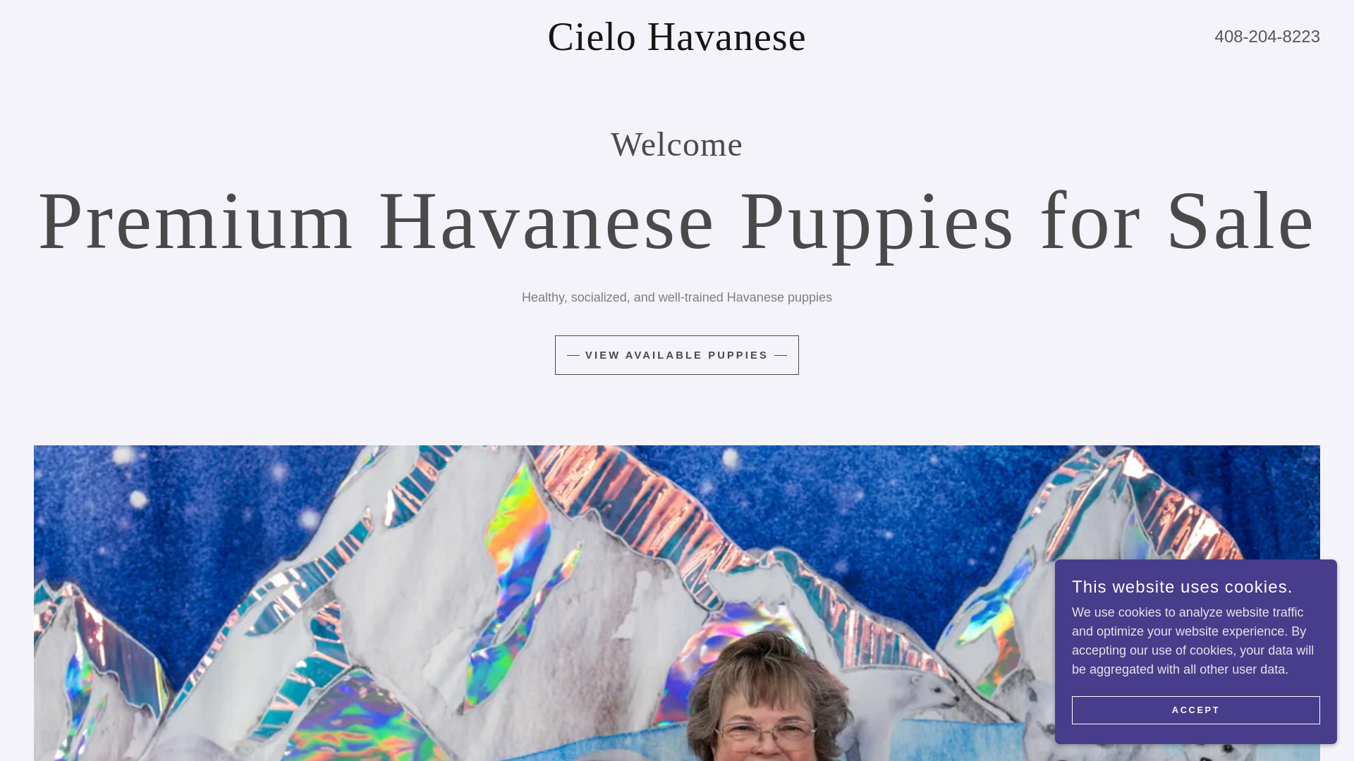 website screenshot of https://cielo-havanese.com/